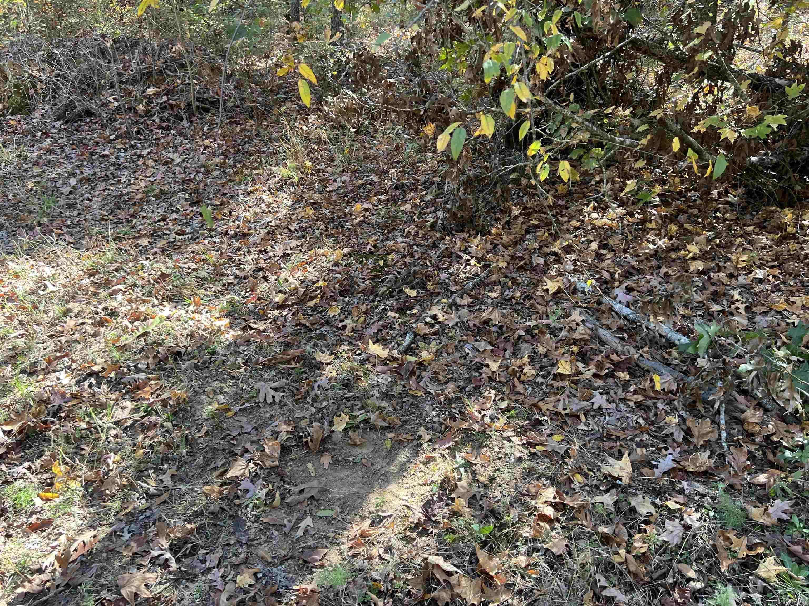 10875 Highway 133 Property Photo 5