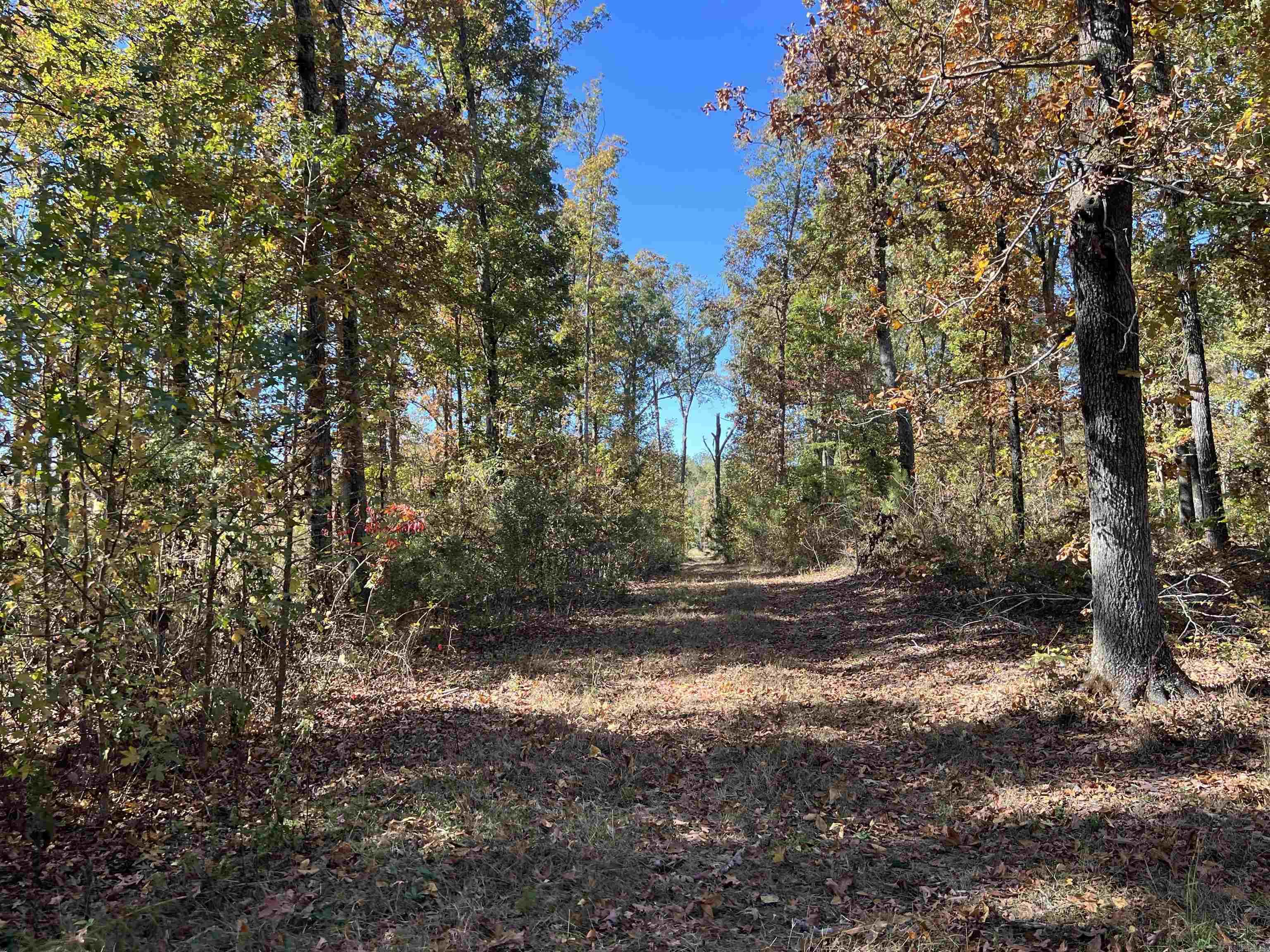 10875 Highway 133 Property Photo 6