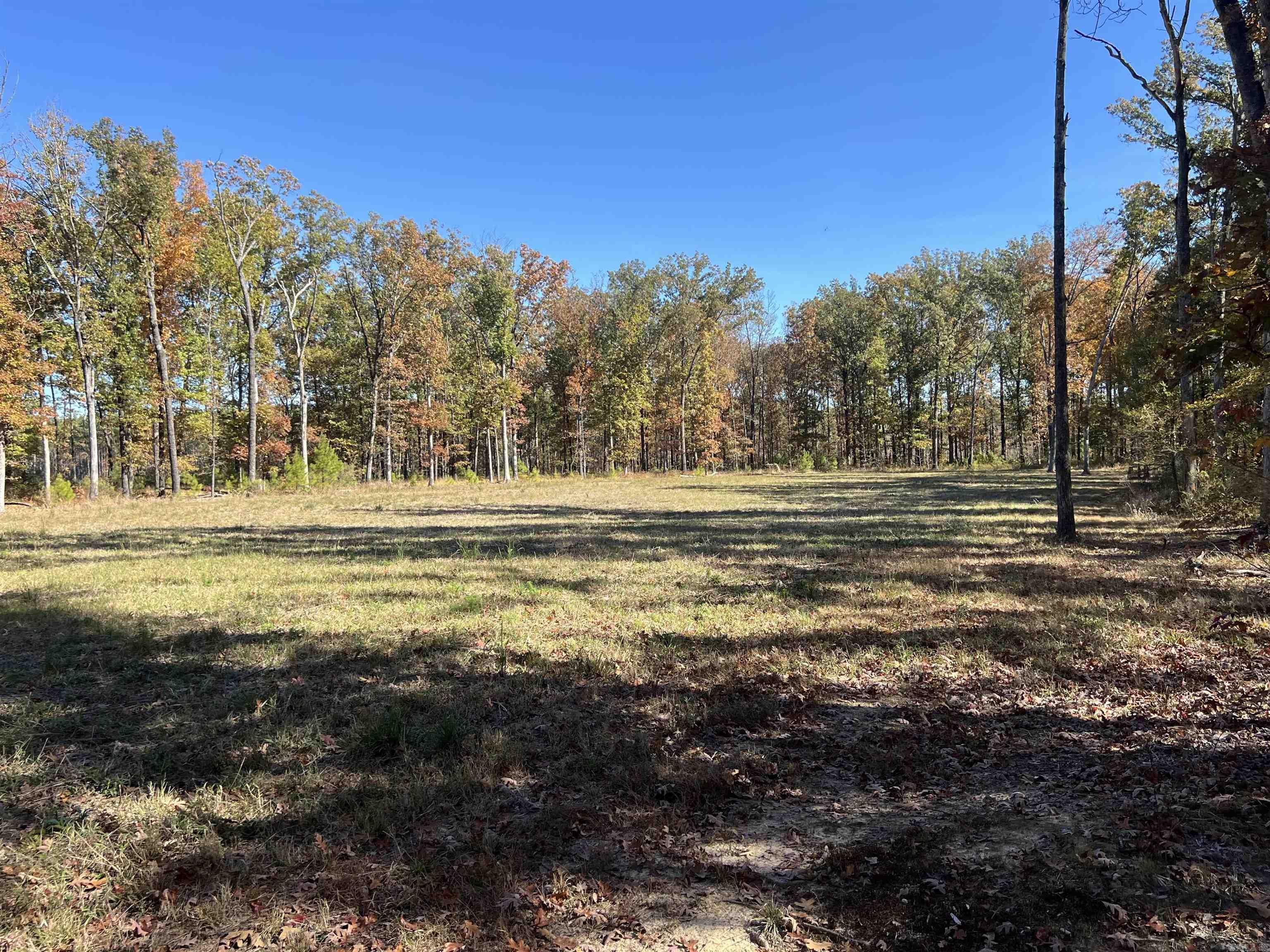 10875 Highway 133 Property Photo 7