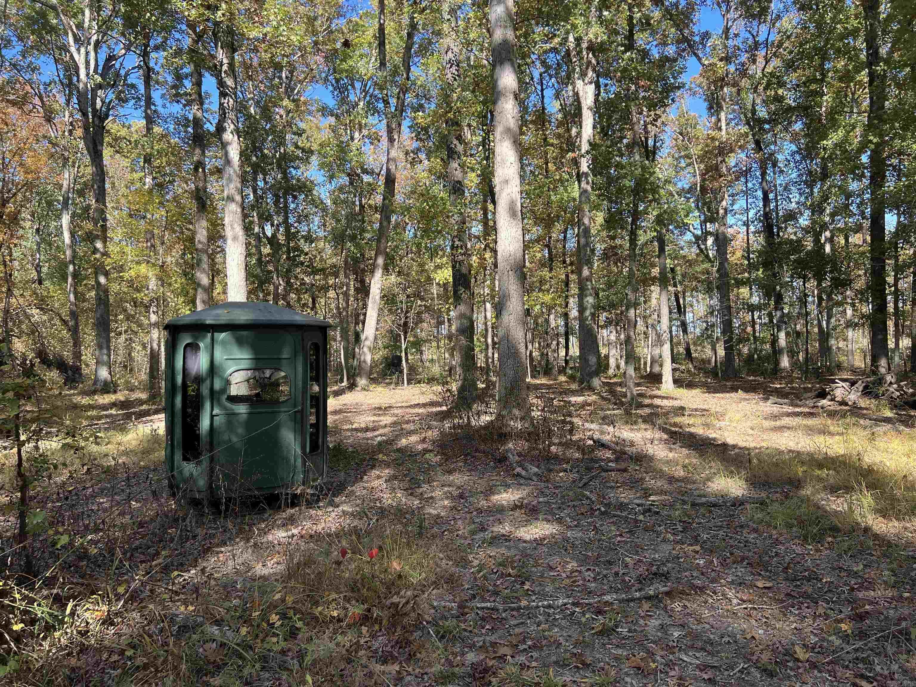 10875 Highway 133 Property Photo 8