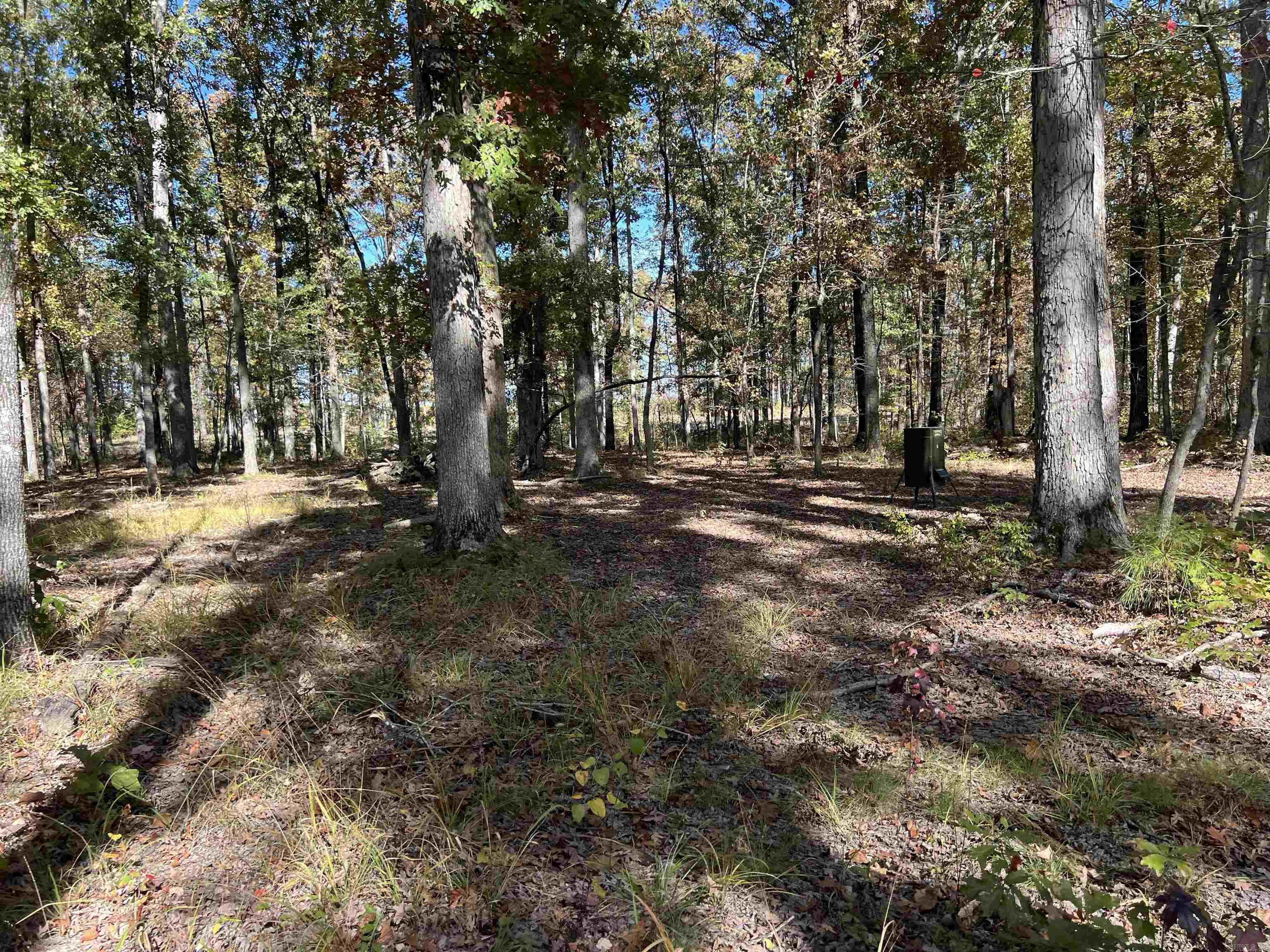 10875 Highway 133 Property Photo 9