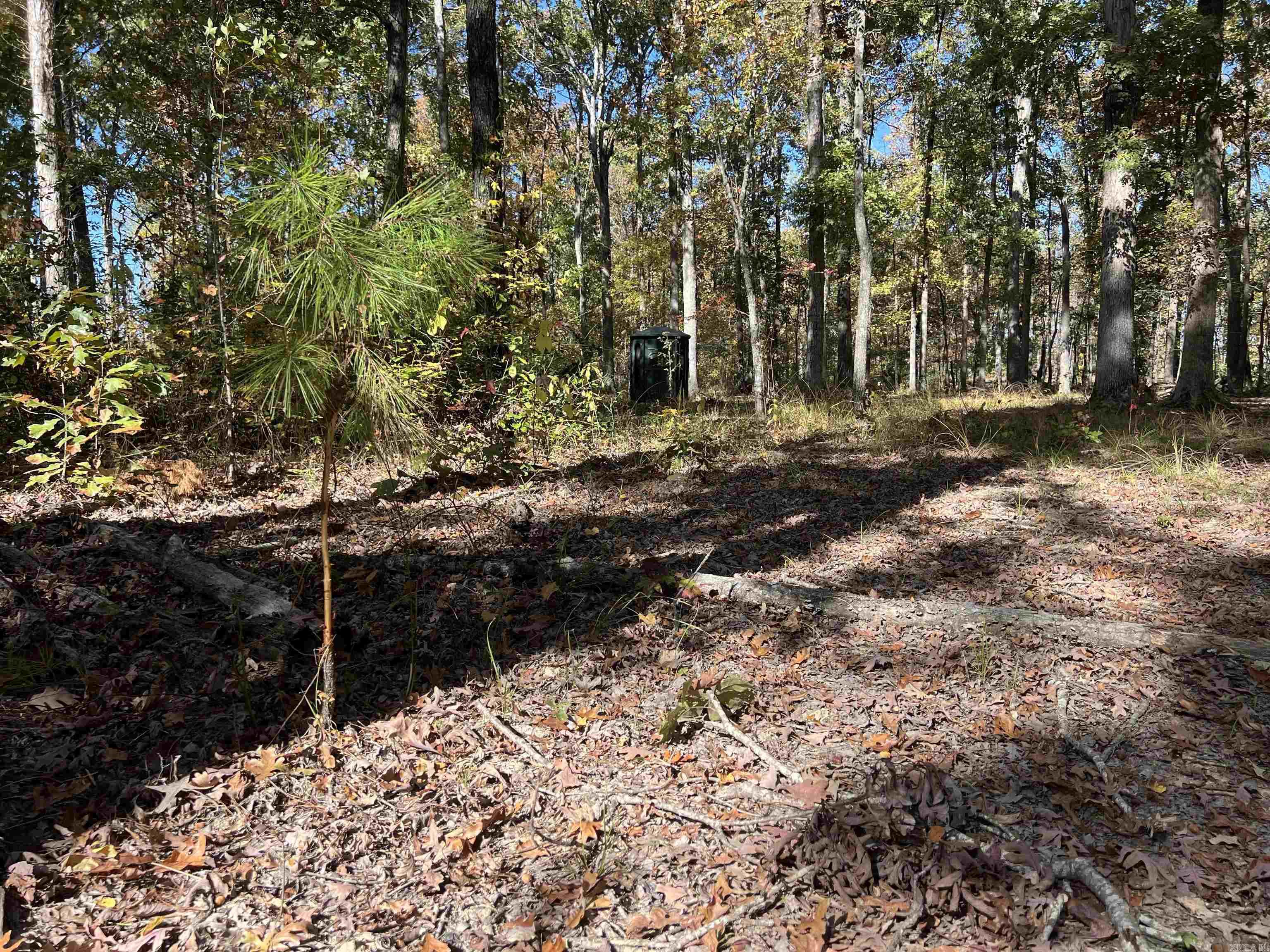 10875 Highway 133 Property Photo 10