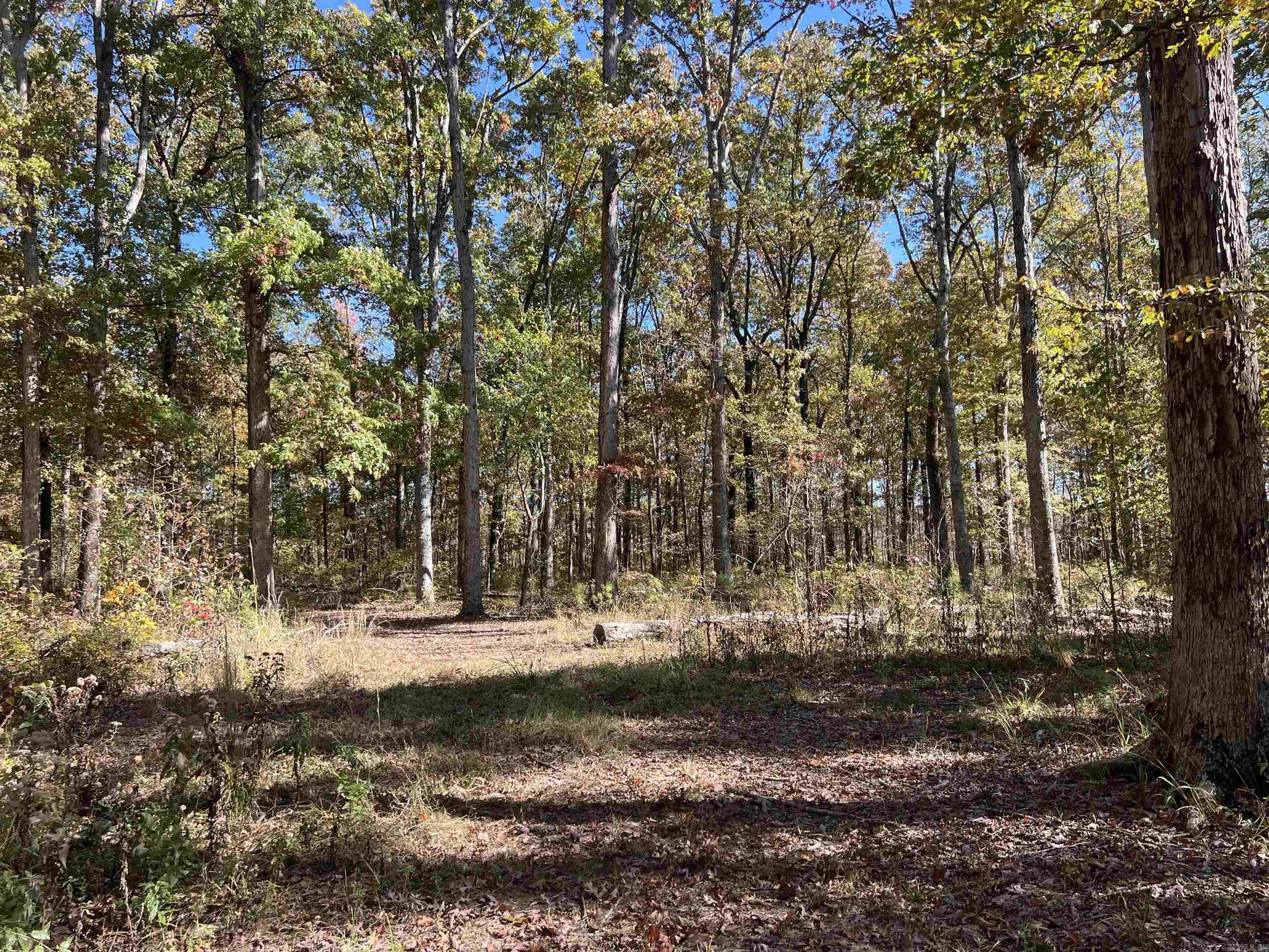 10875 Highway 133 Property Photo 11
