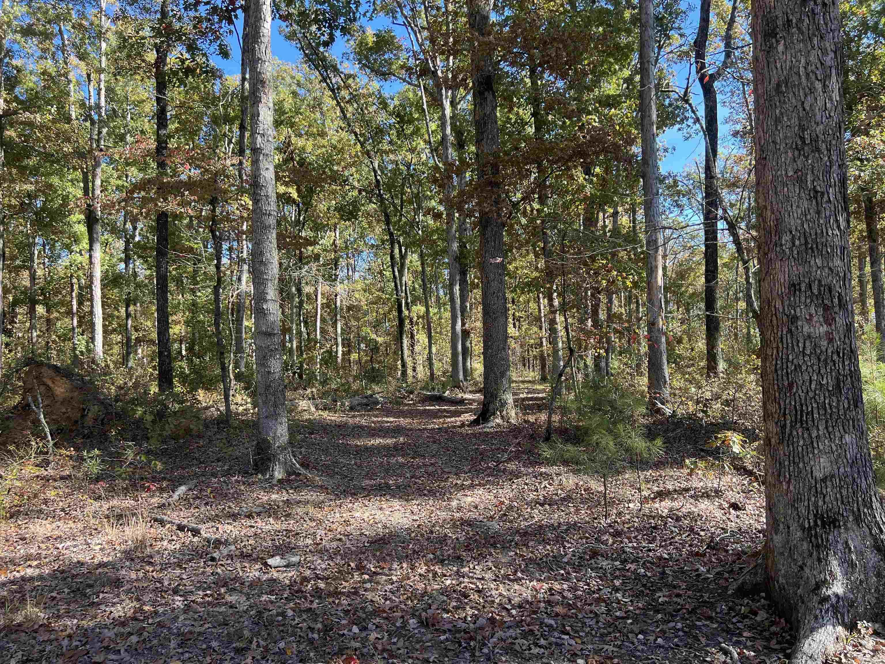 10875 Highway 133 Property Photo 12