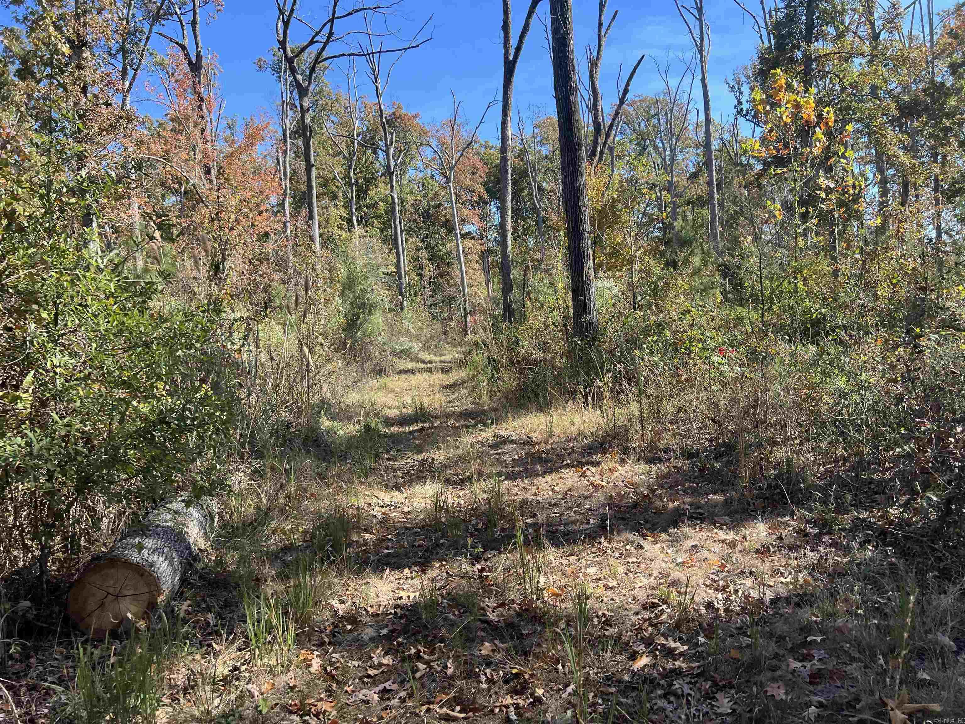 10875 Highway 133 Property Photo 13