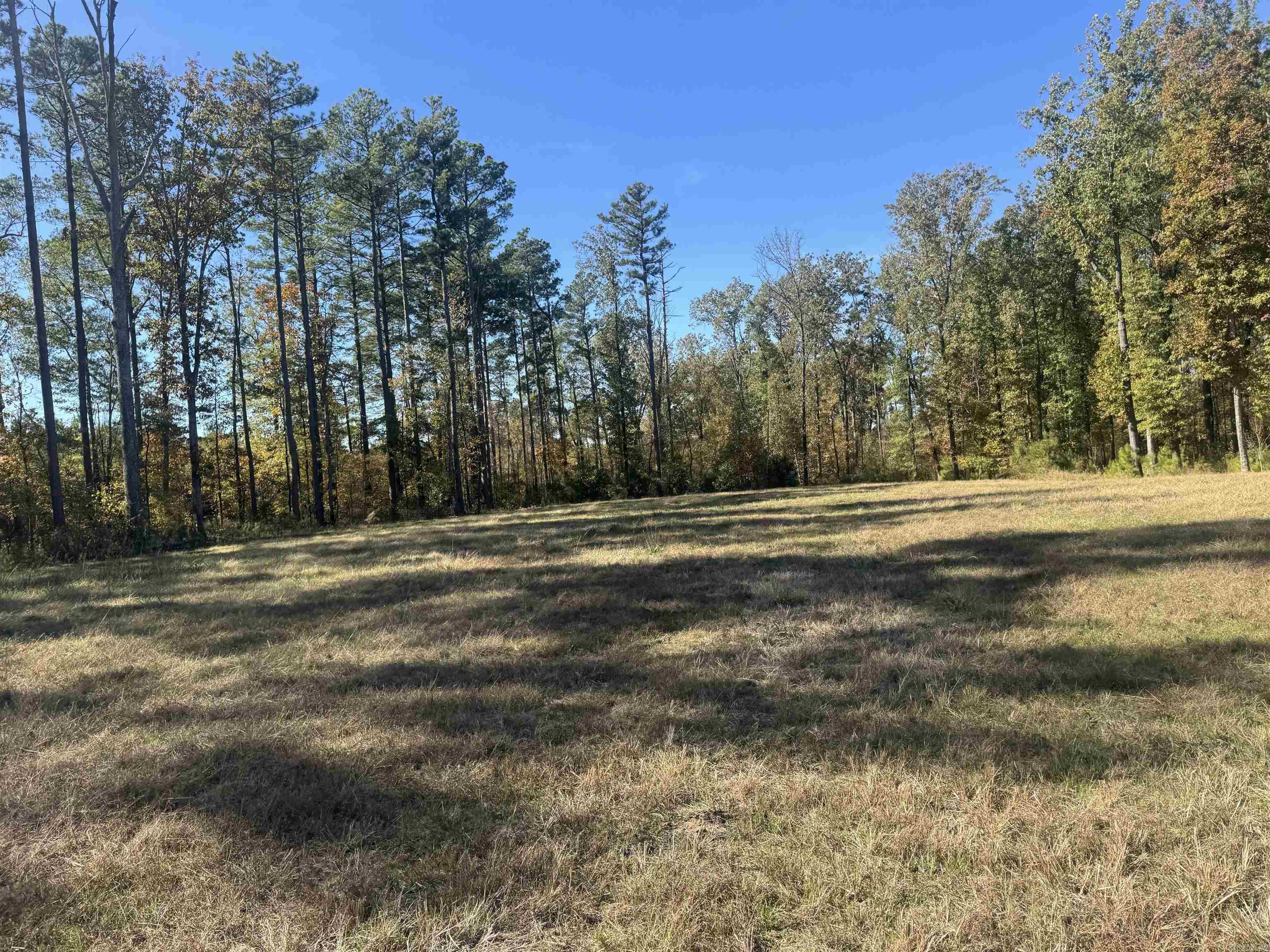 10875 Highway 133 Property Photo 15