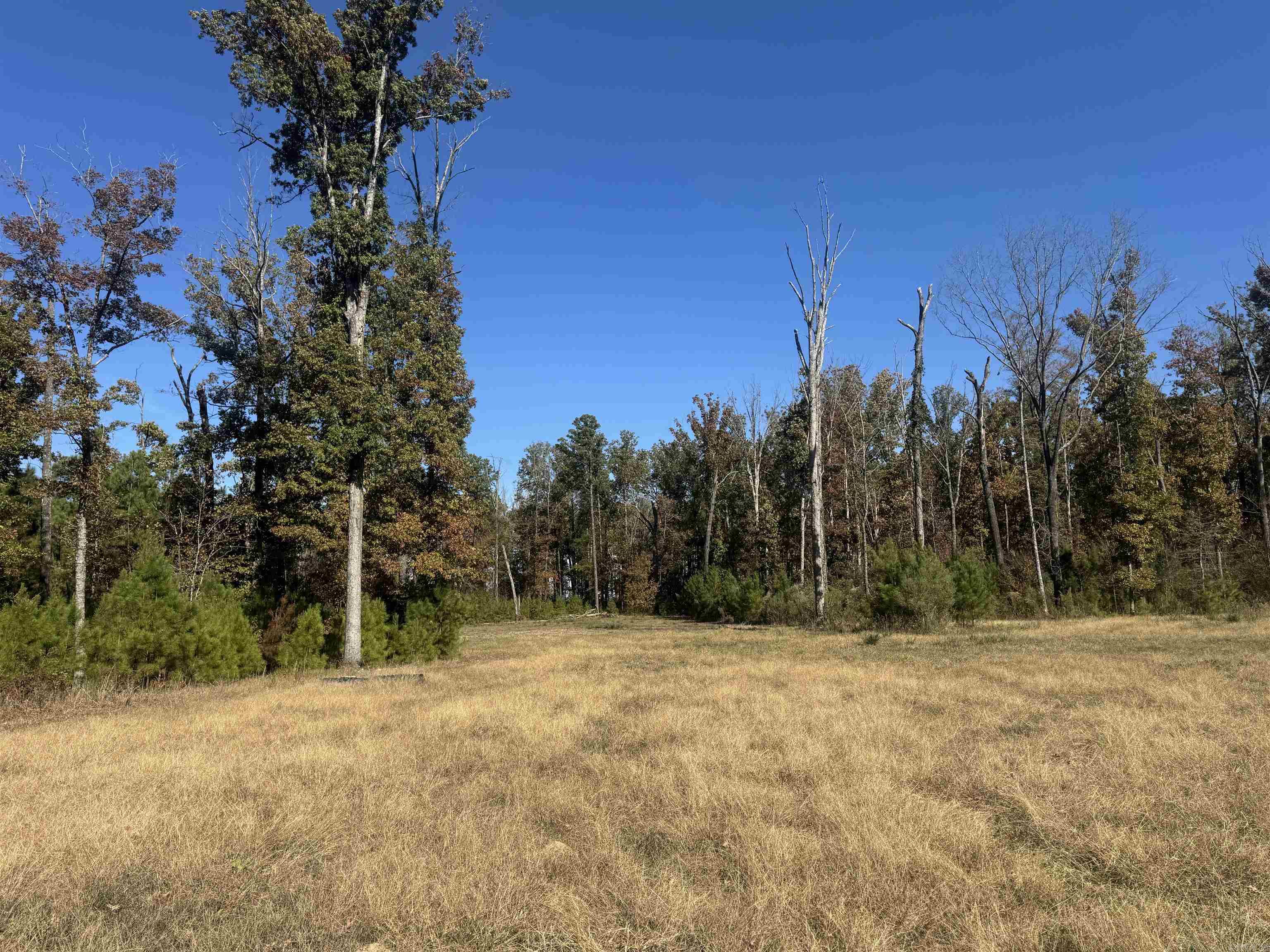 10875 Highway 133 Property Photo 16