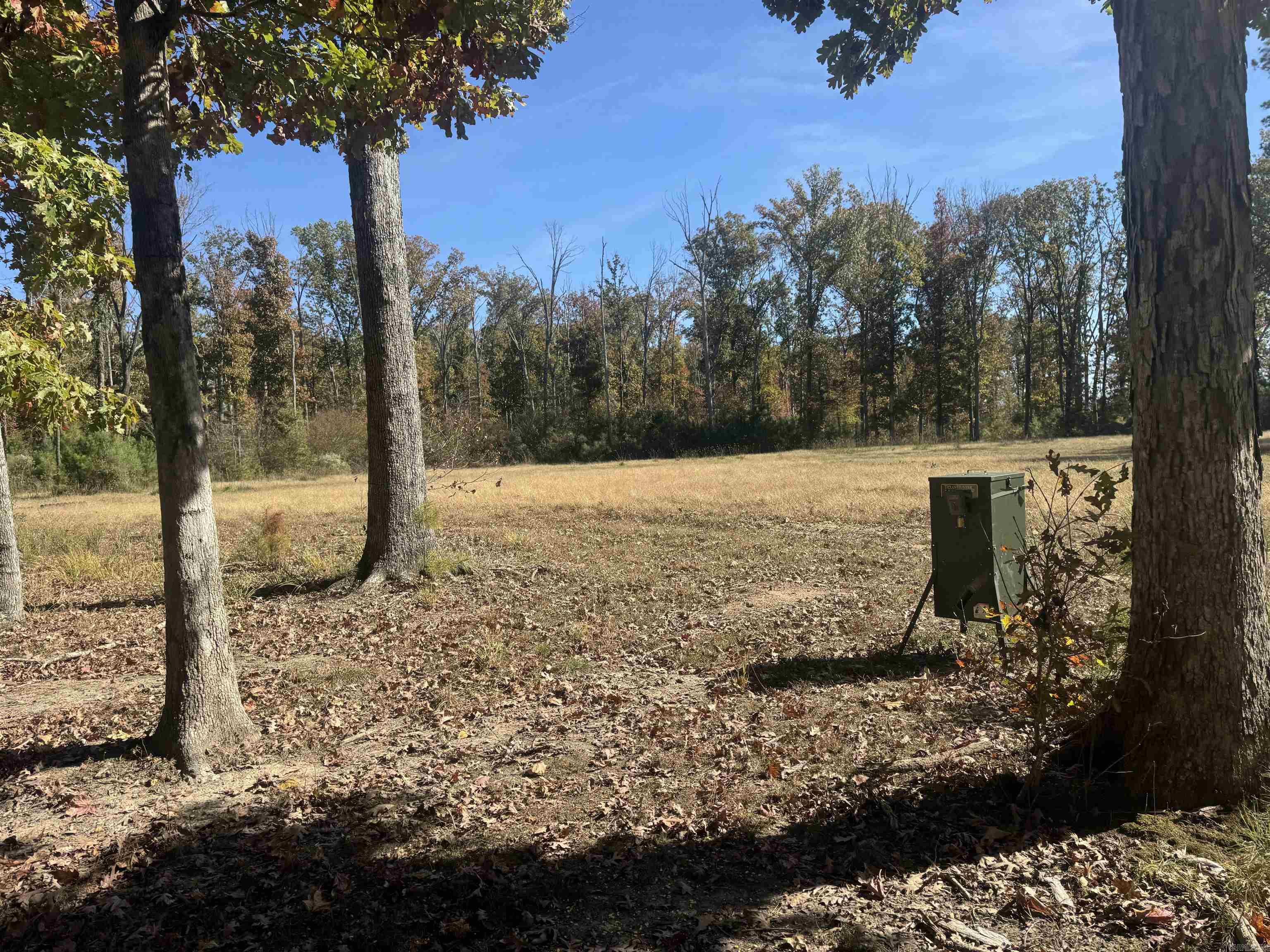 10875 Highway 133 Property Photo 17