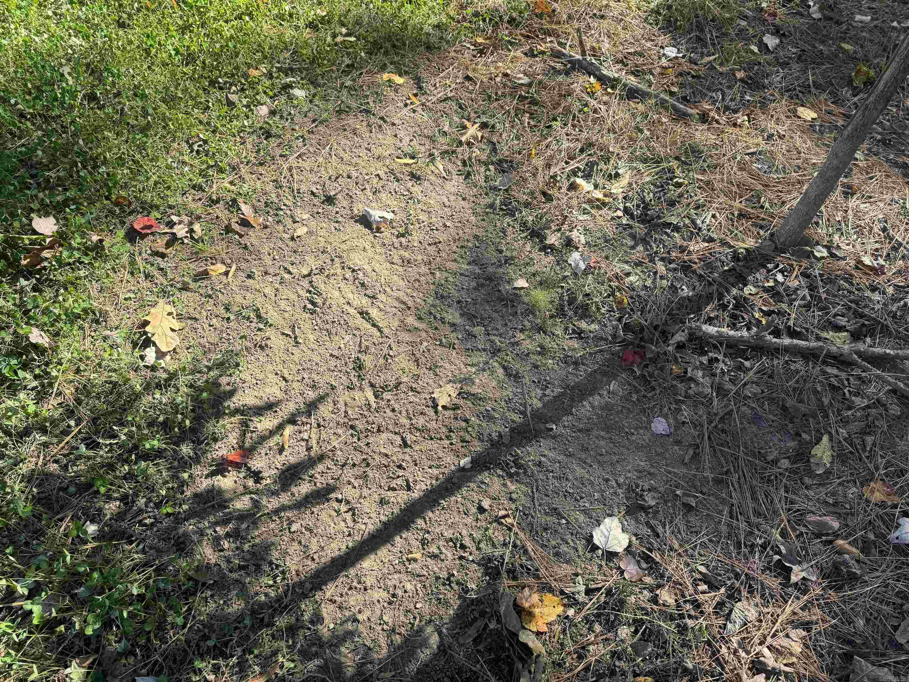 10875 Highway 133 Property Photo 19