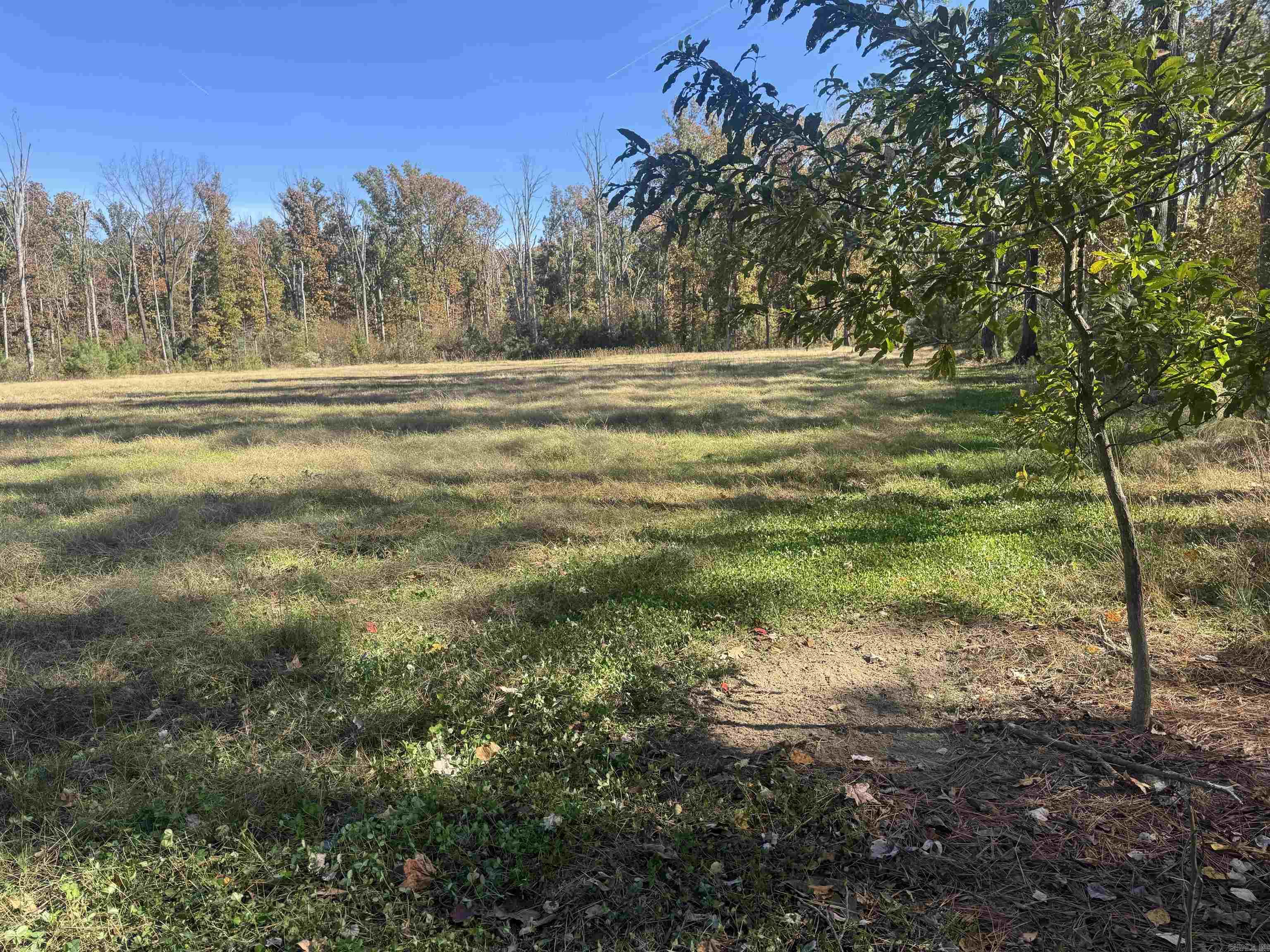 10875 Highway 133 Property Photo 20