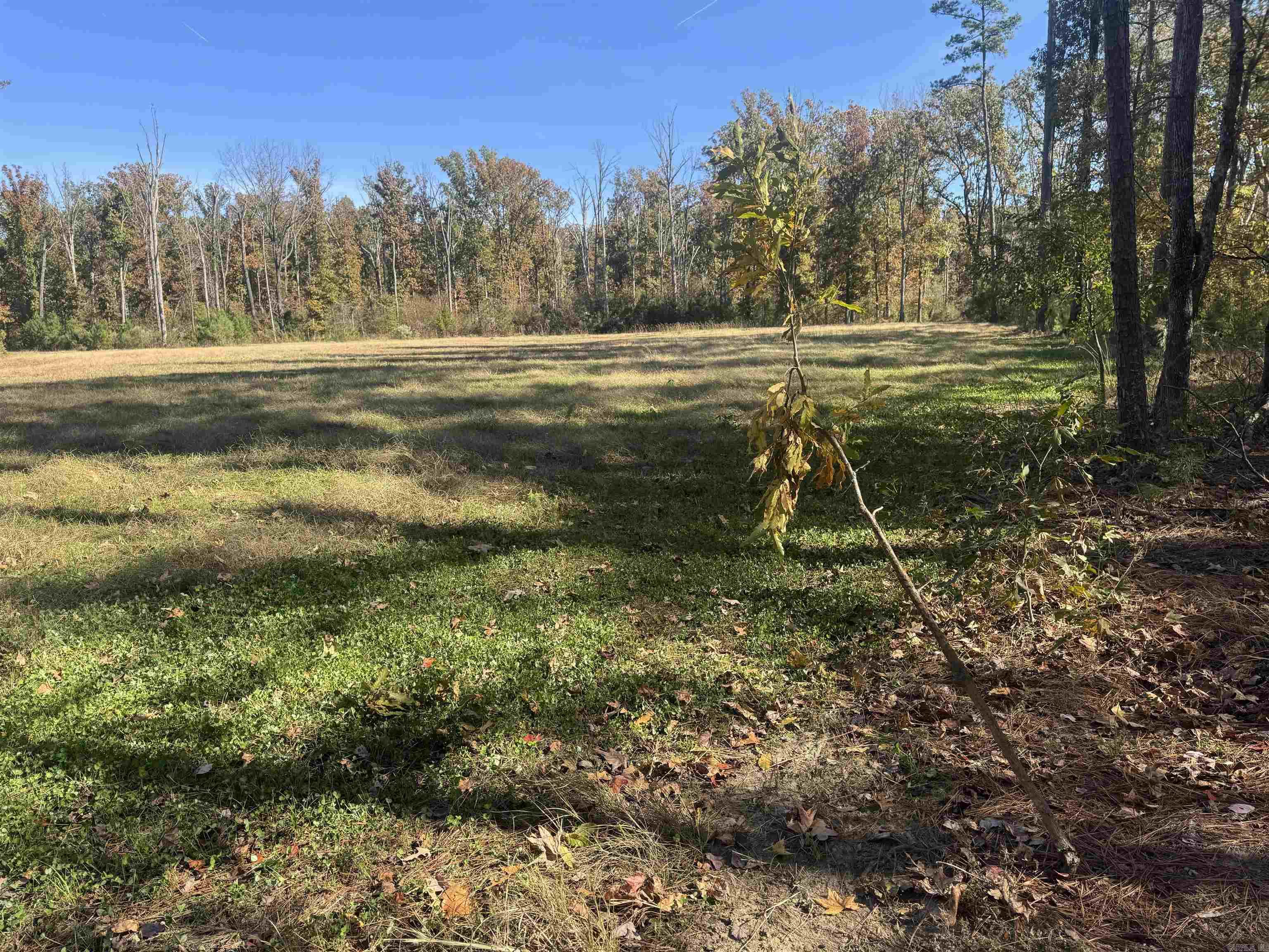 10875 Highway 133 Property Photo 21