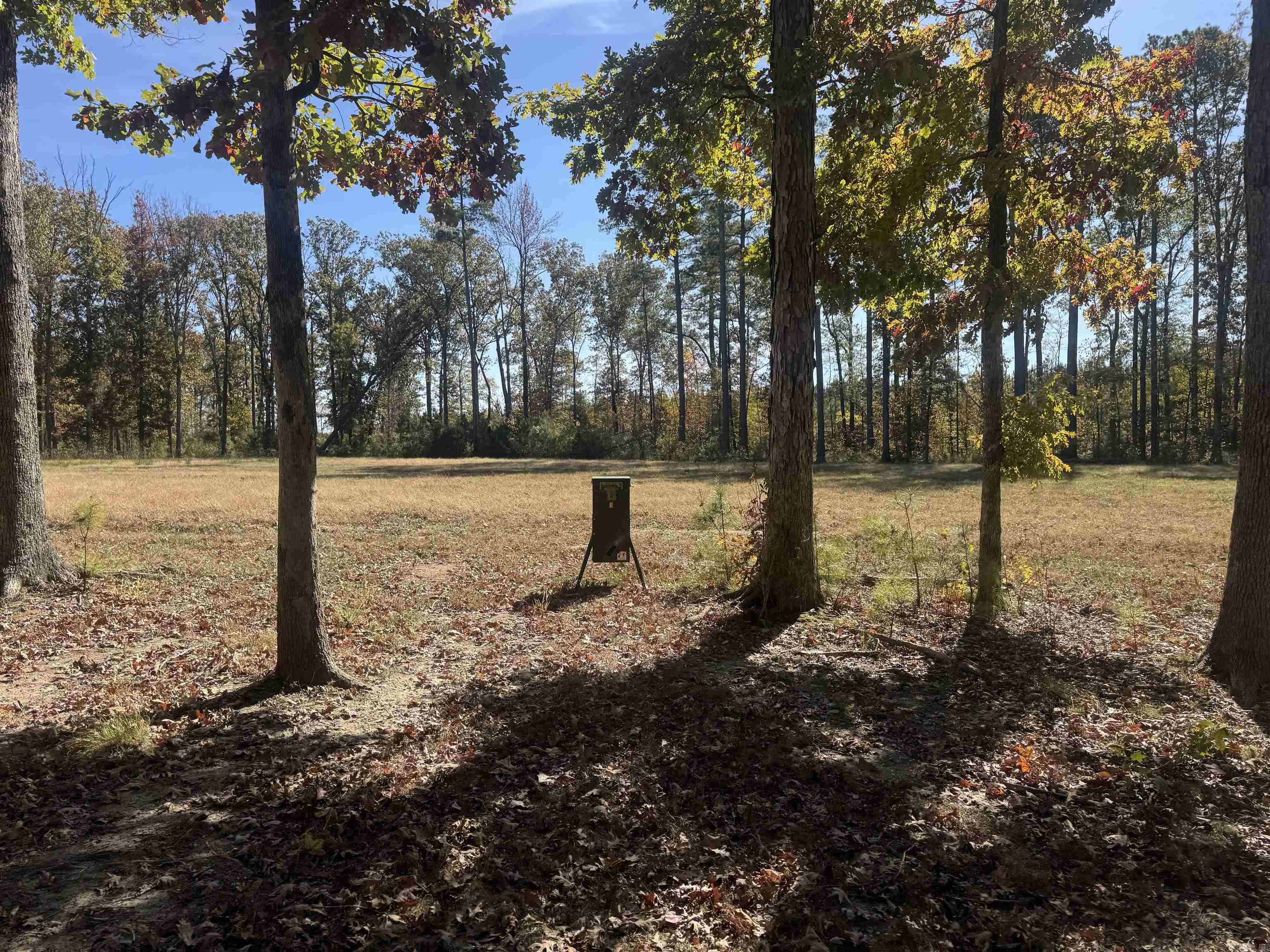 10875 Highway 133 Property Photo 22
