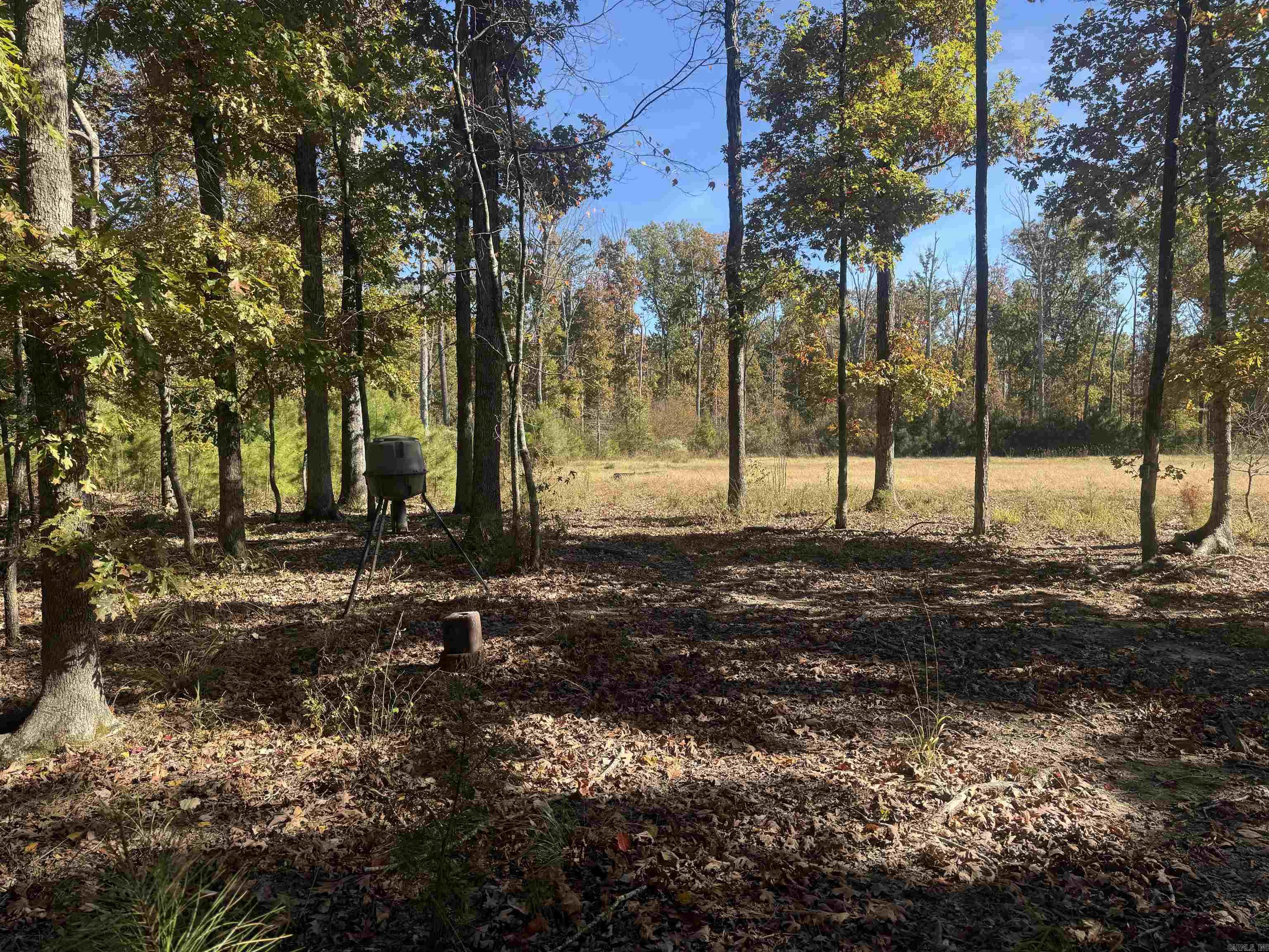 10875 Highway 133 Property Photo 23