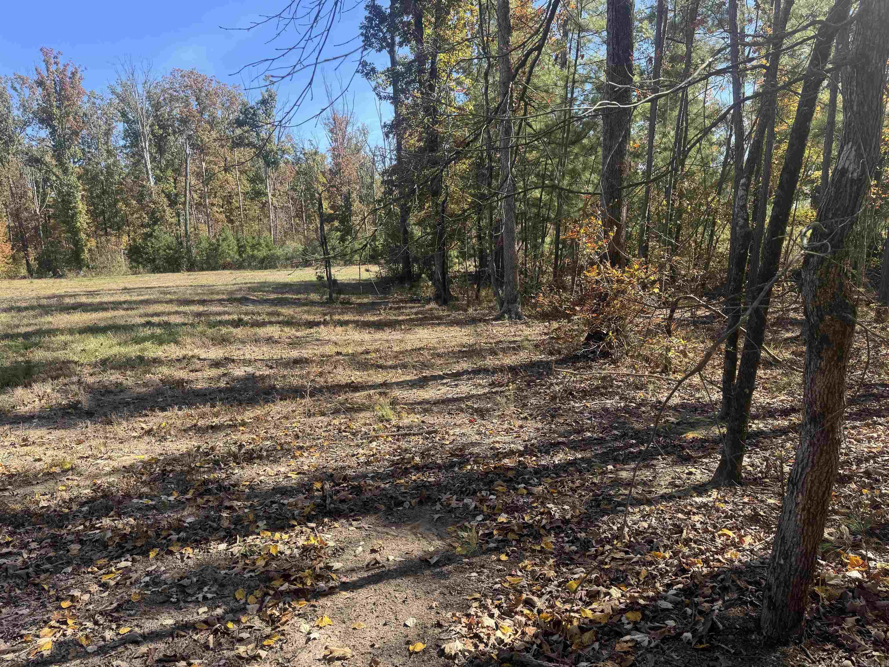10875 Highway 133 Property Photo 25