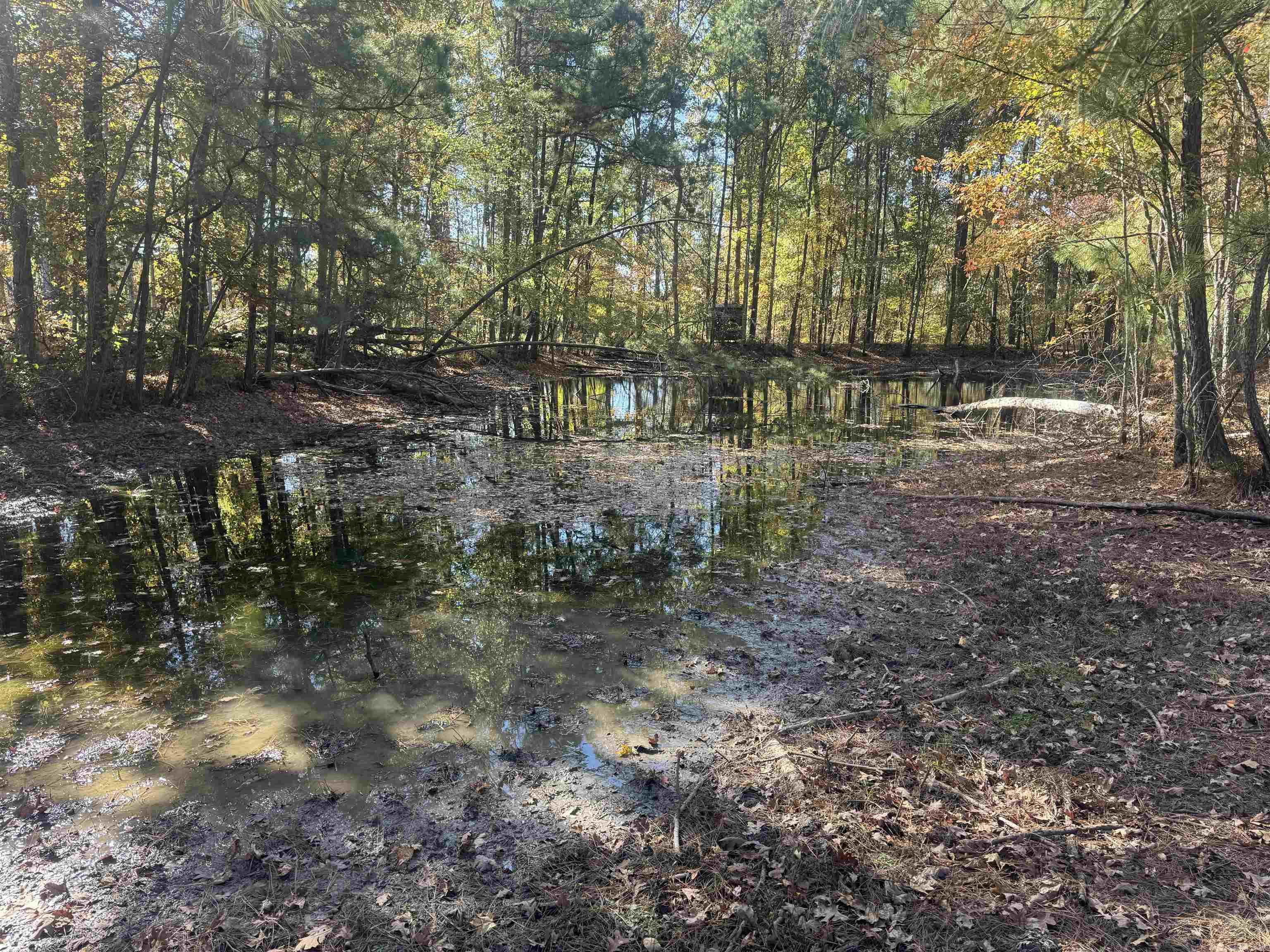 10875 Highway 133 Property Photo 26
