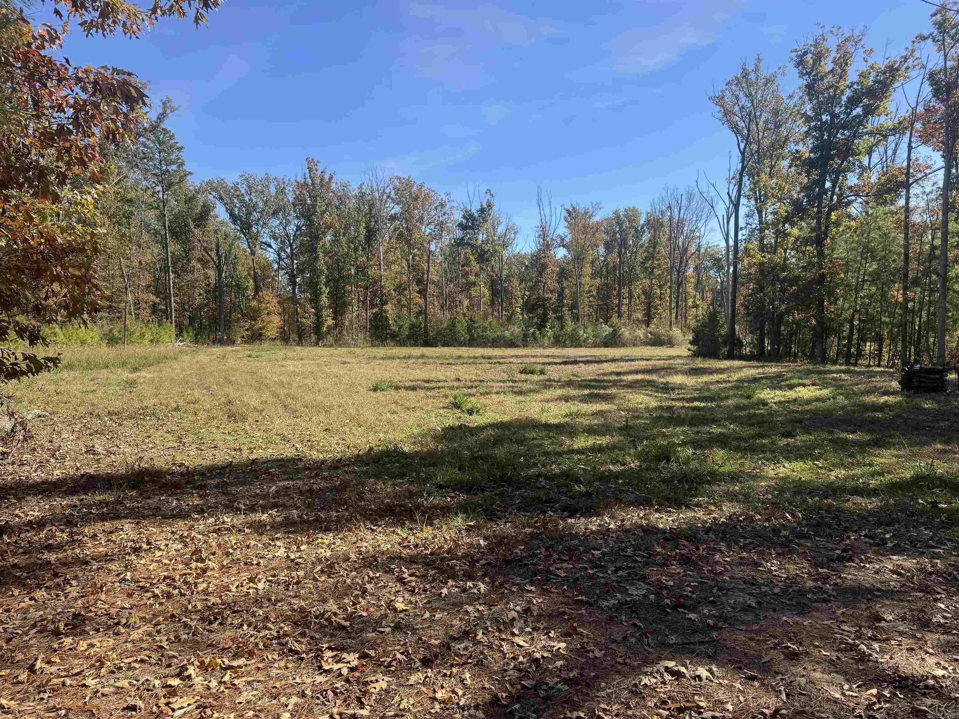 10875 Highway 133 Property Photo 28
