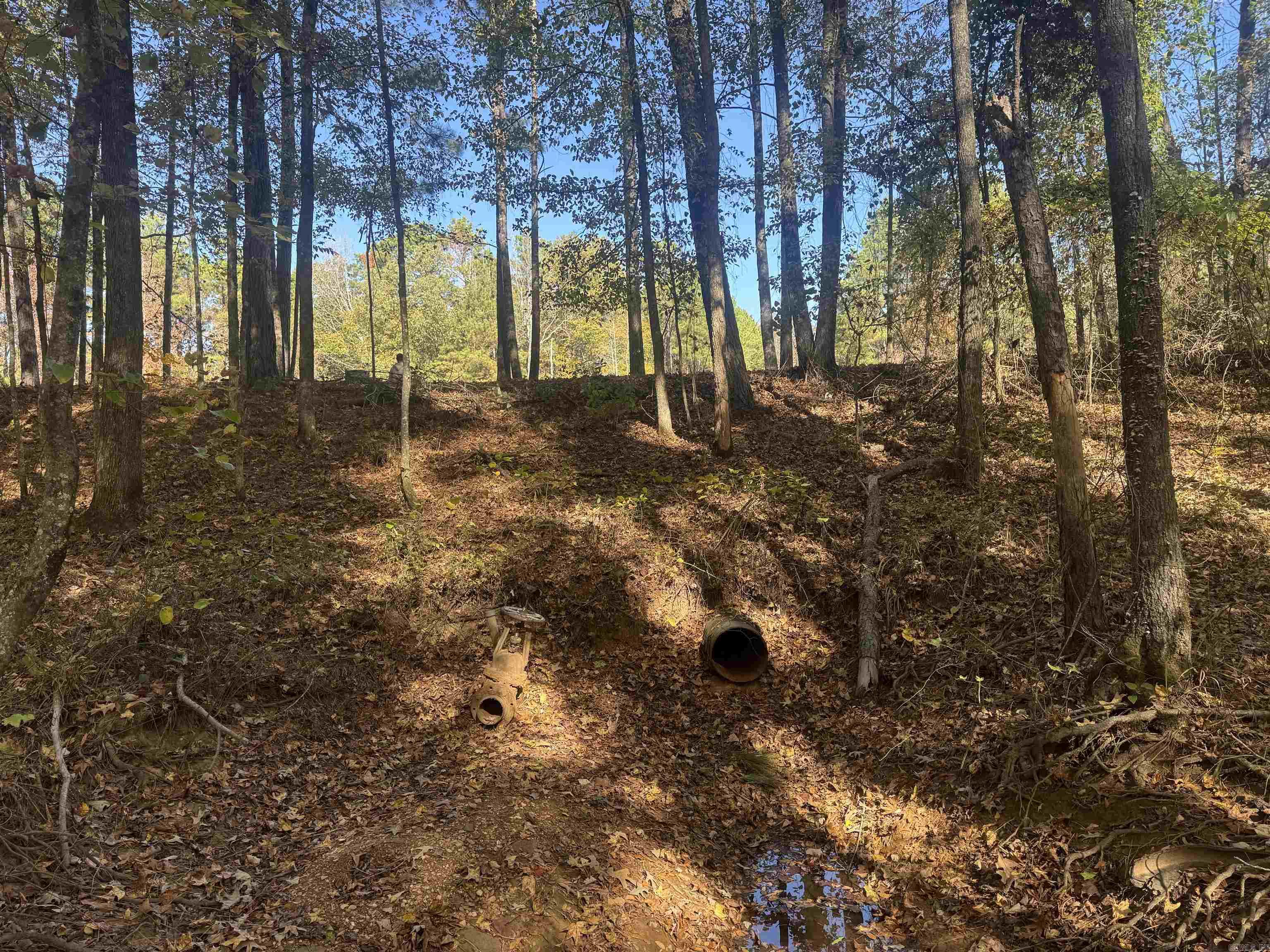 10875 Highway 133 Property Photo 29