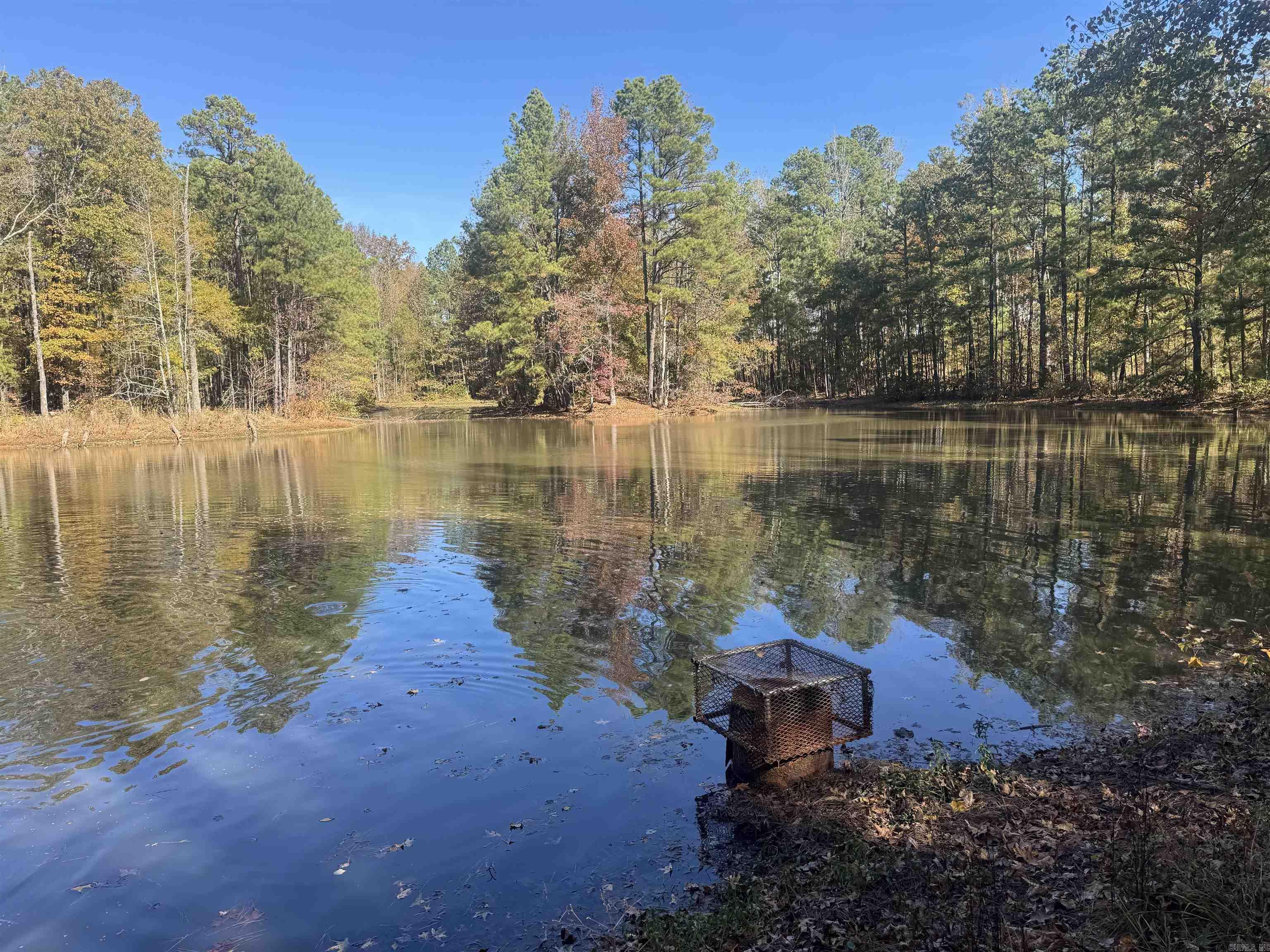 10875 Highway 133 Property Photo 30