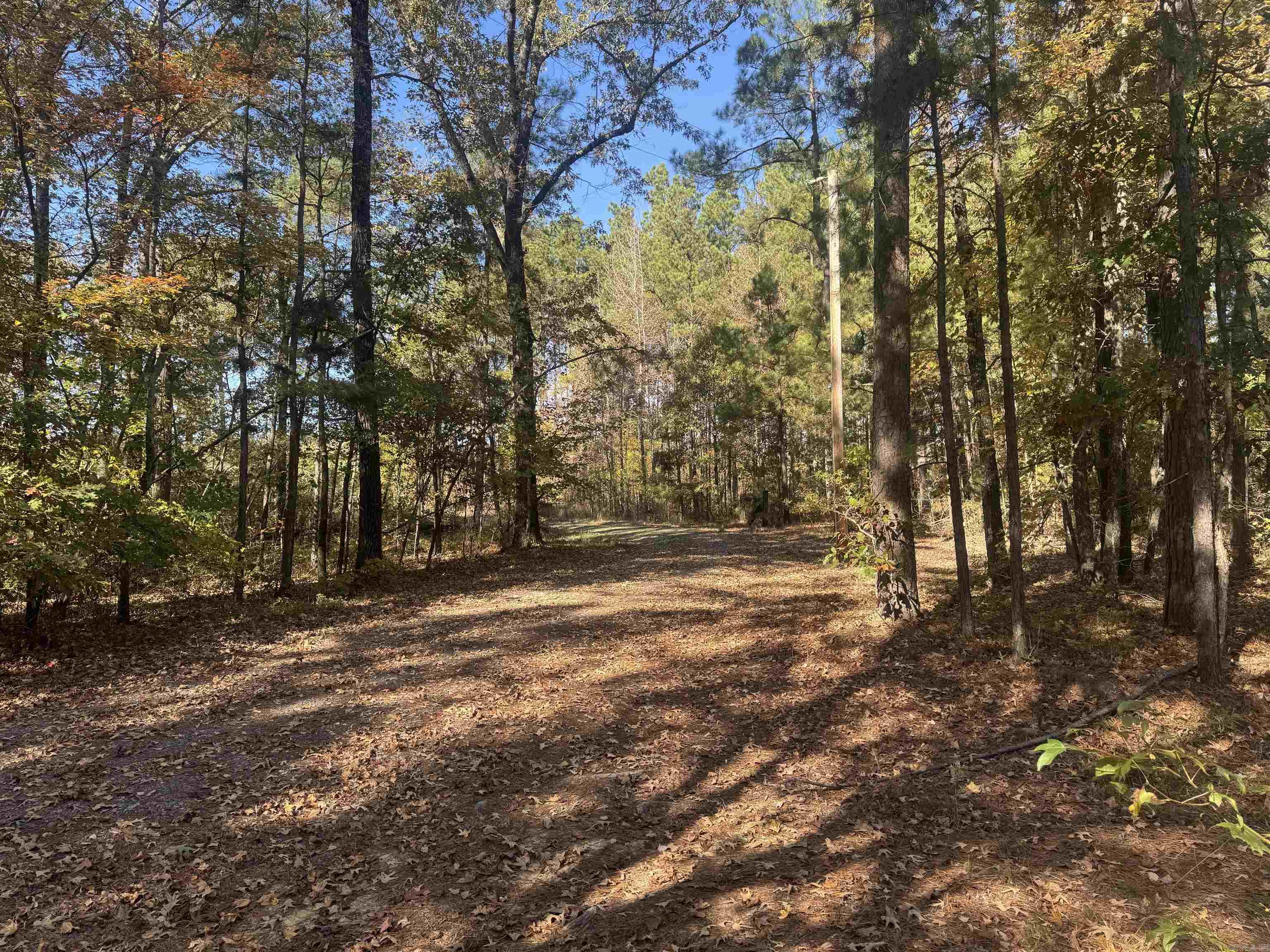 10875 Highway 133 Property Photo 32