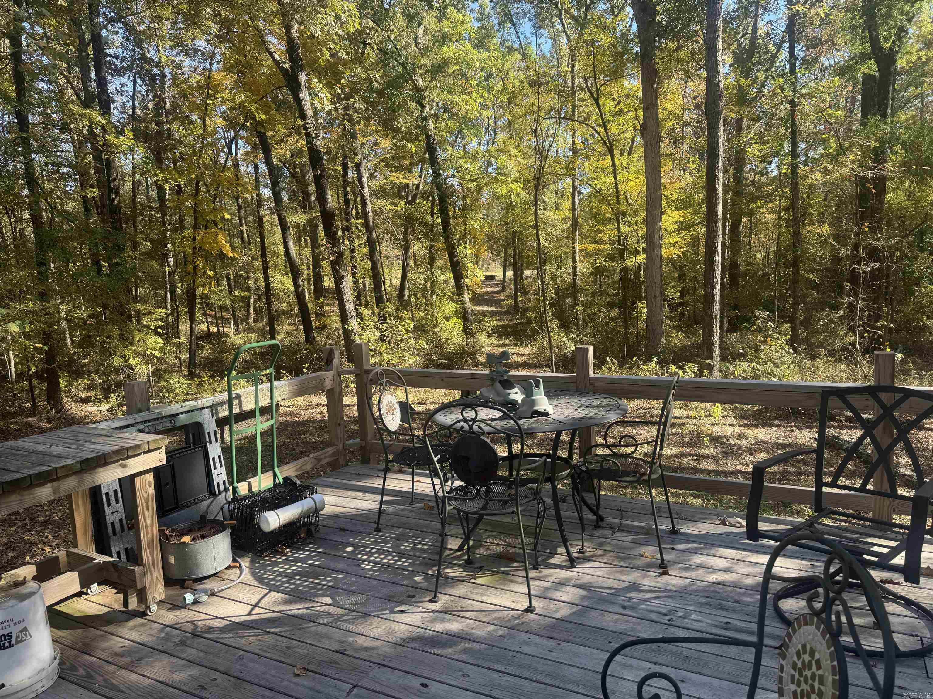 10875 Highway 133 Property Photo 37
