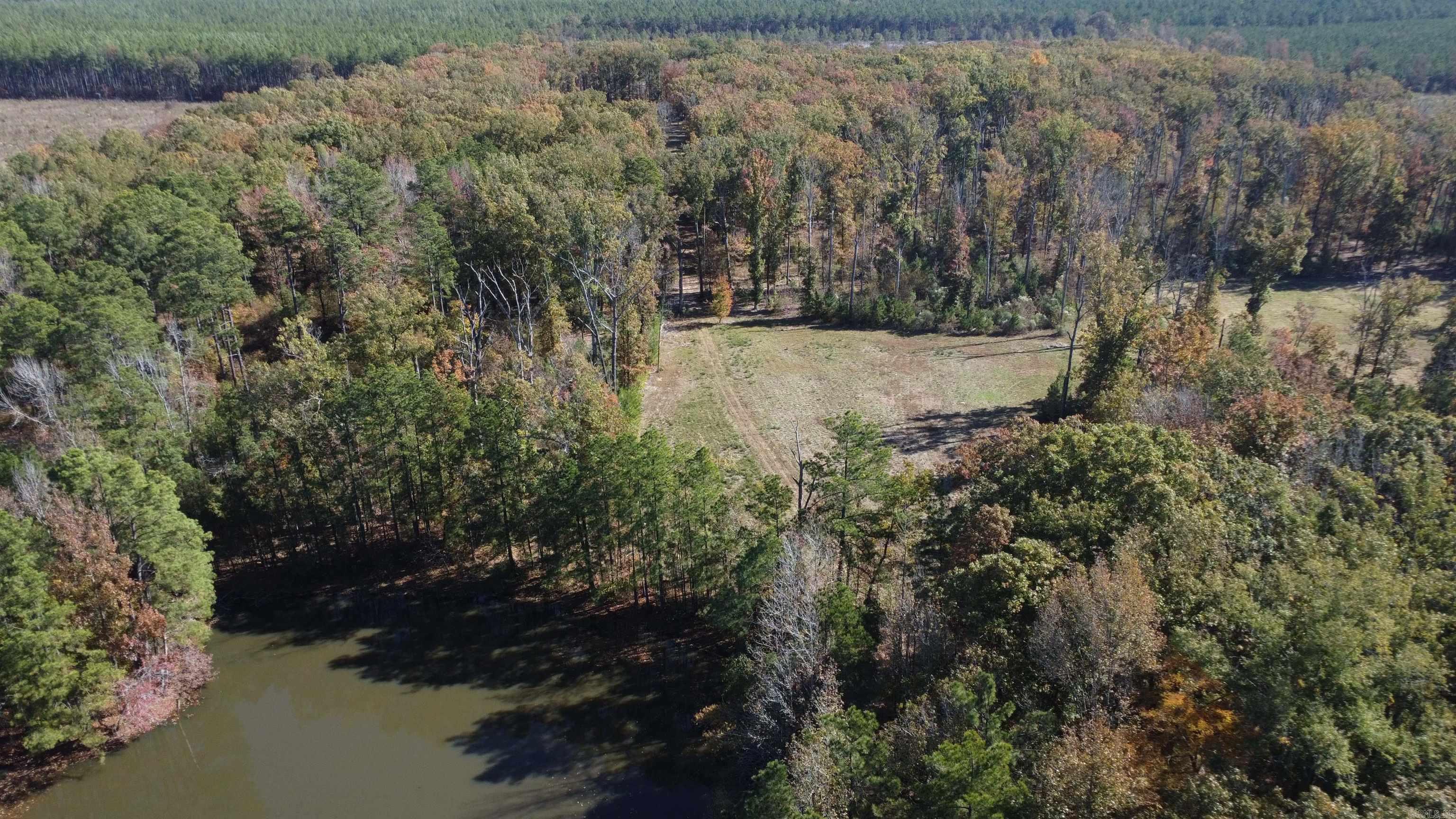 10875 Highway 133 Property Photo 46
