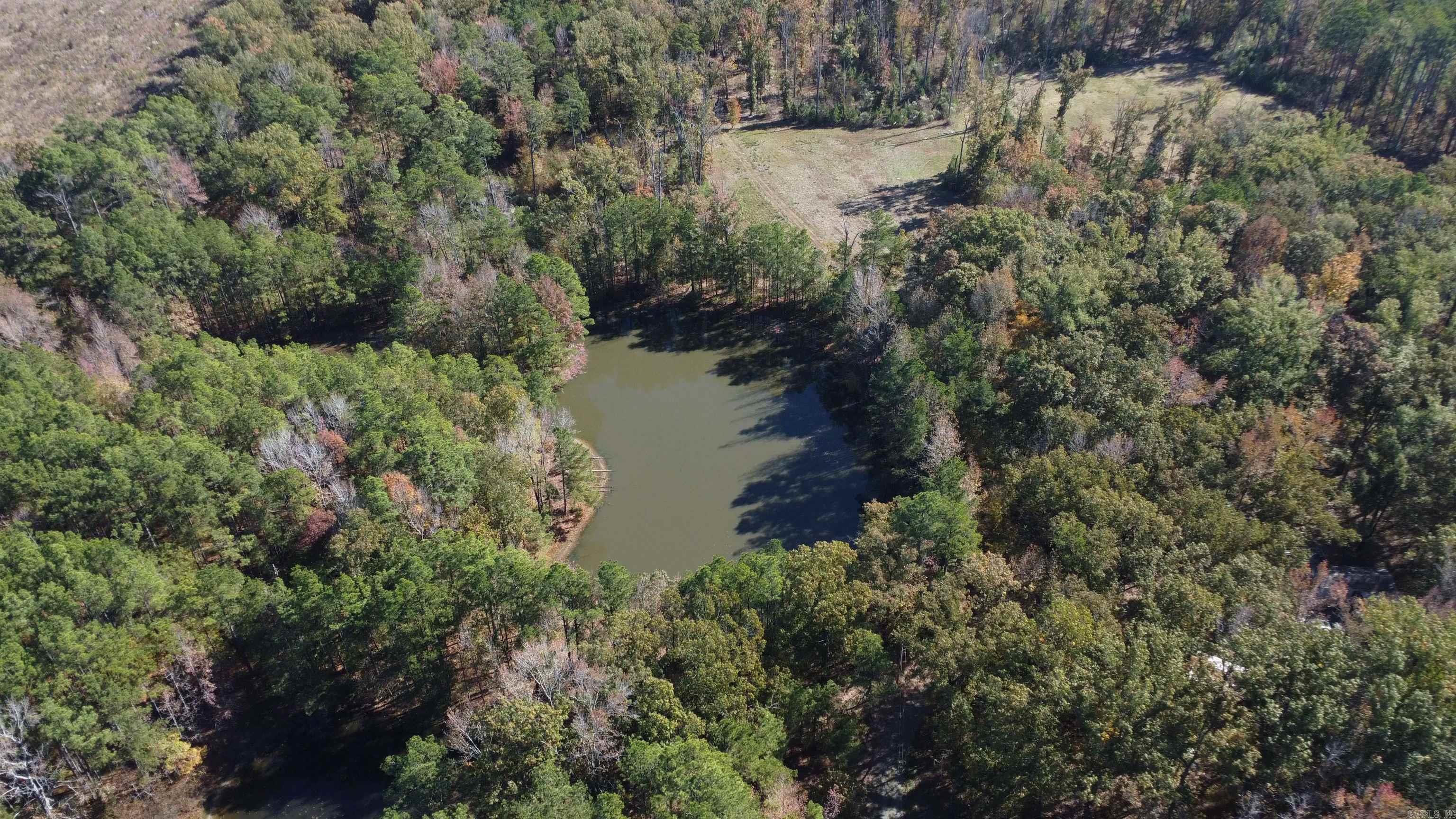 10875 Highway 133 Property Photo 48