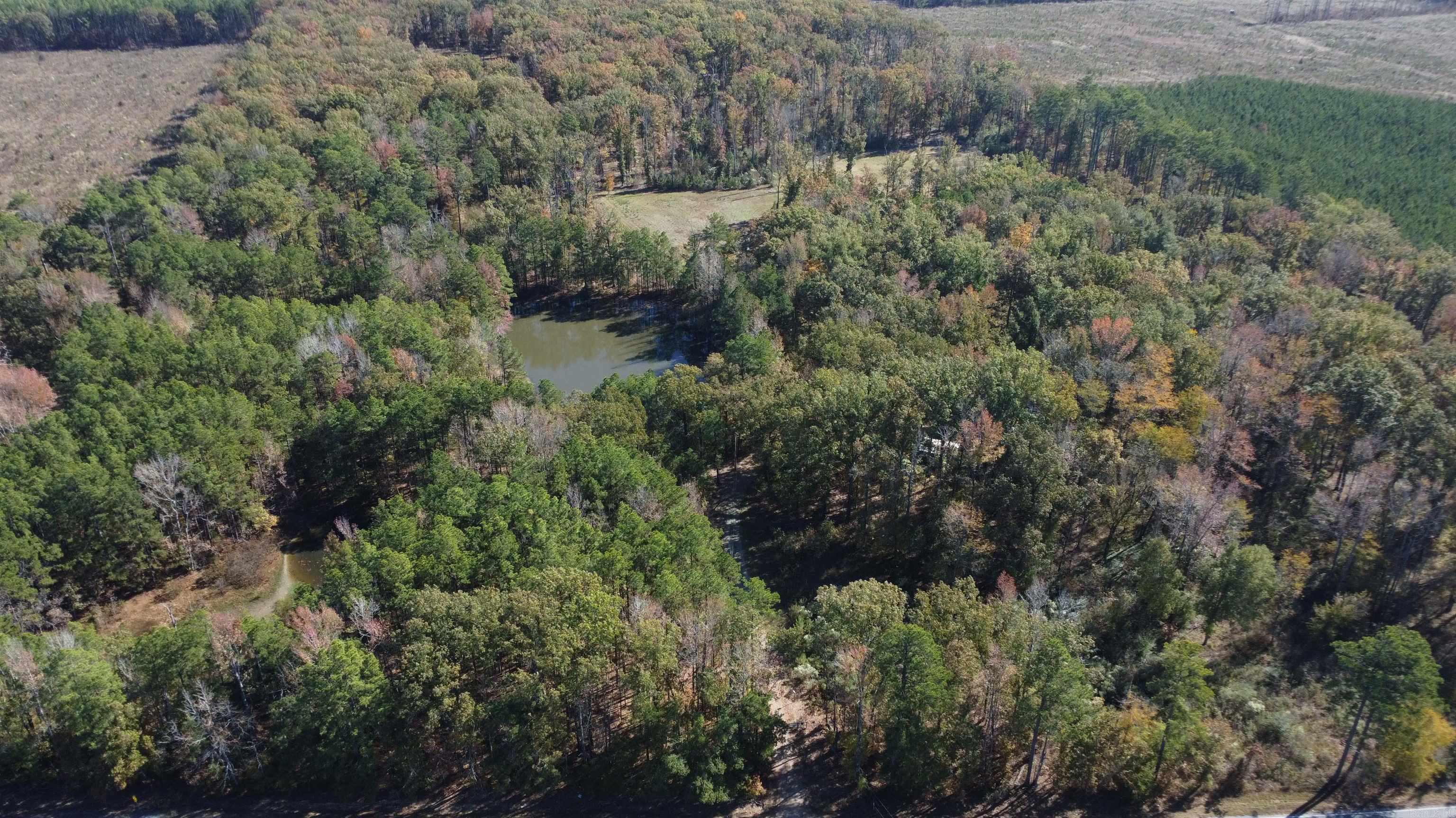 10875 Highway 133 Property Photo 49