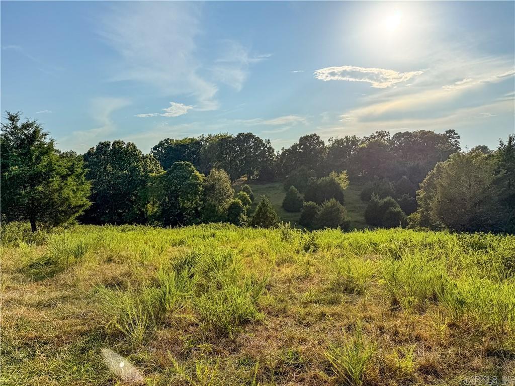 400 Fowler Spring Road Property Photo 17