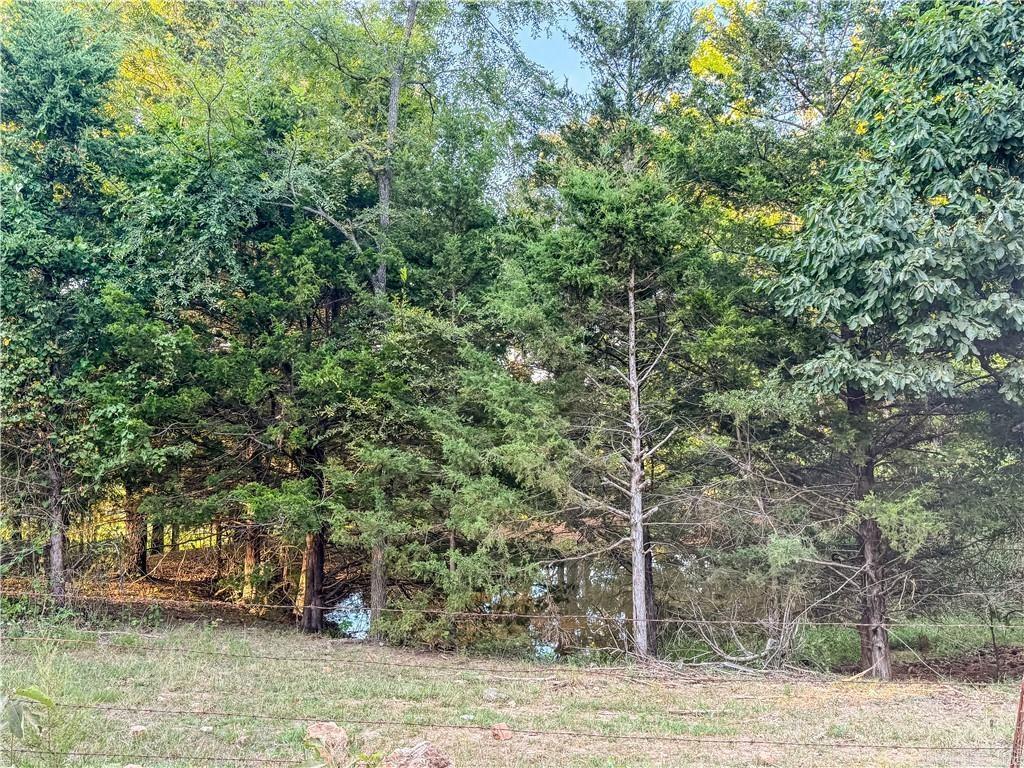 400 Fowler Spring Road Property Photo 19