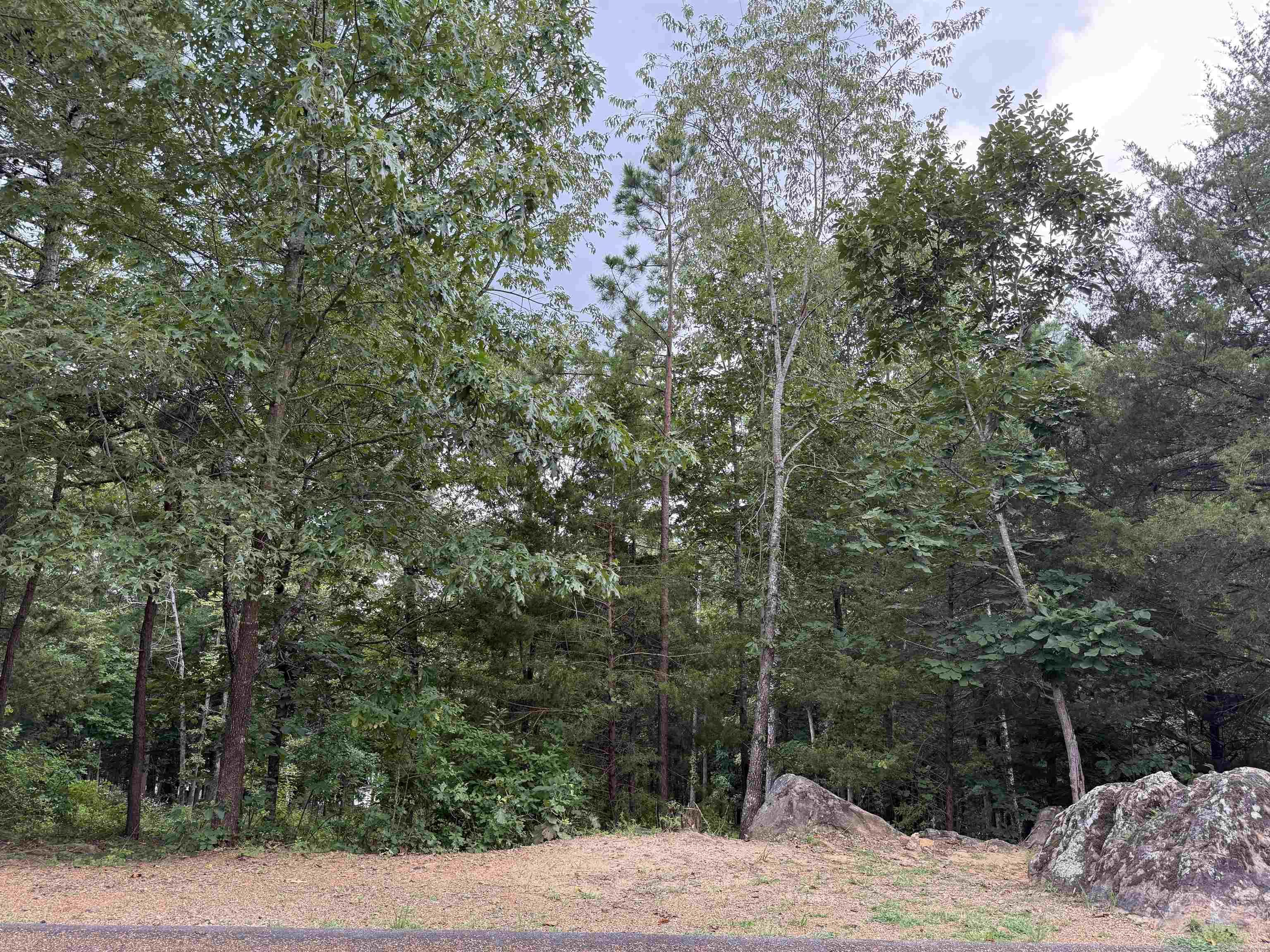 Lot 37r Stoney Ridge Road Property Photo 5