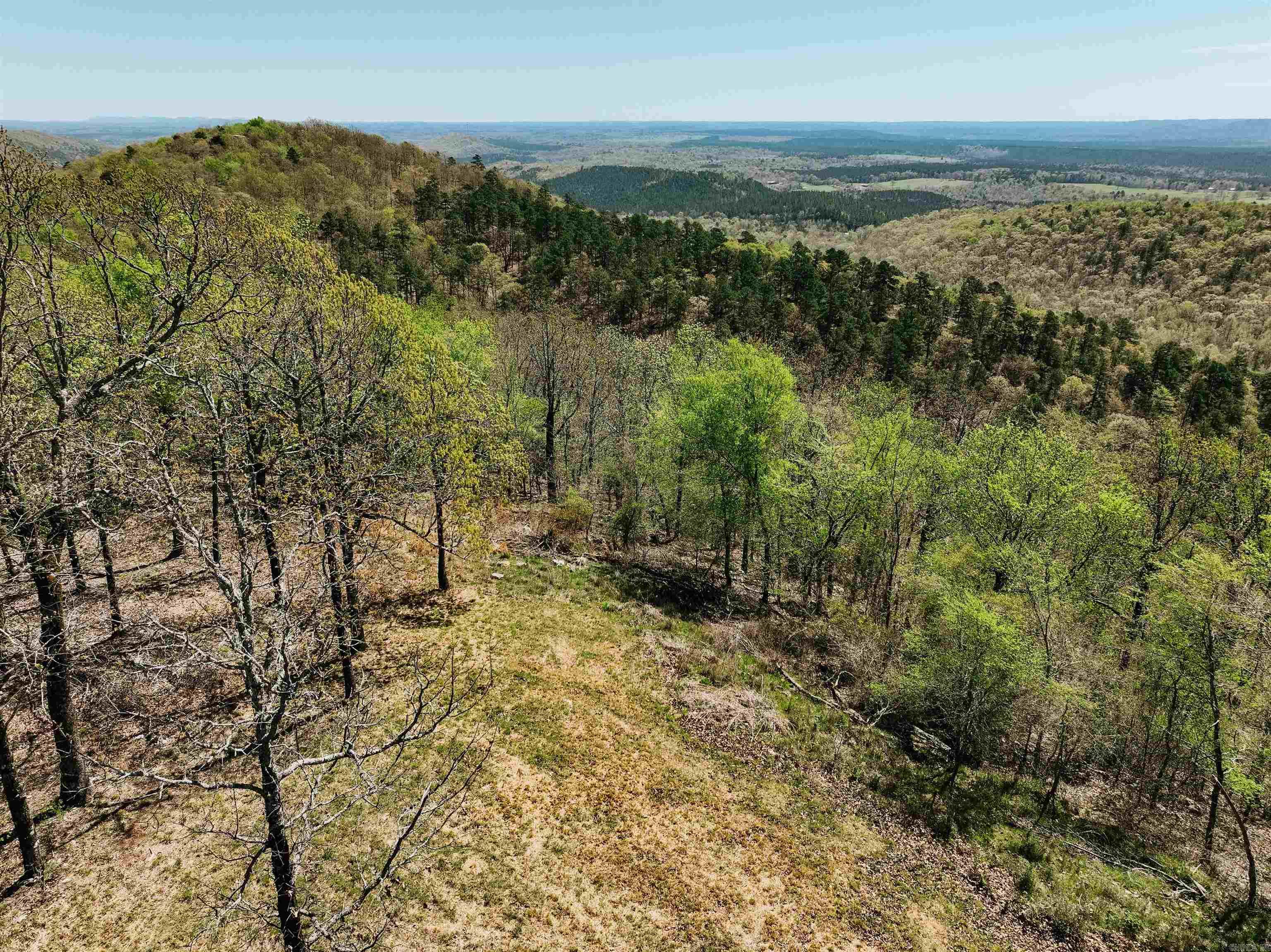 Cr185 Camilla Springs Property Photo 36