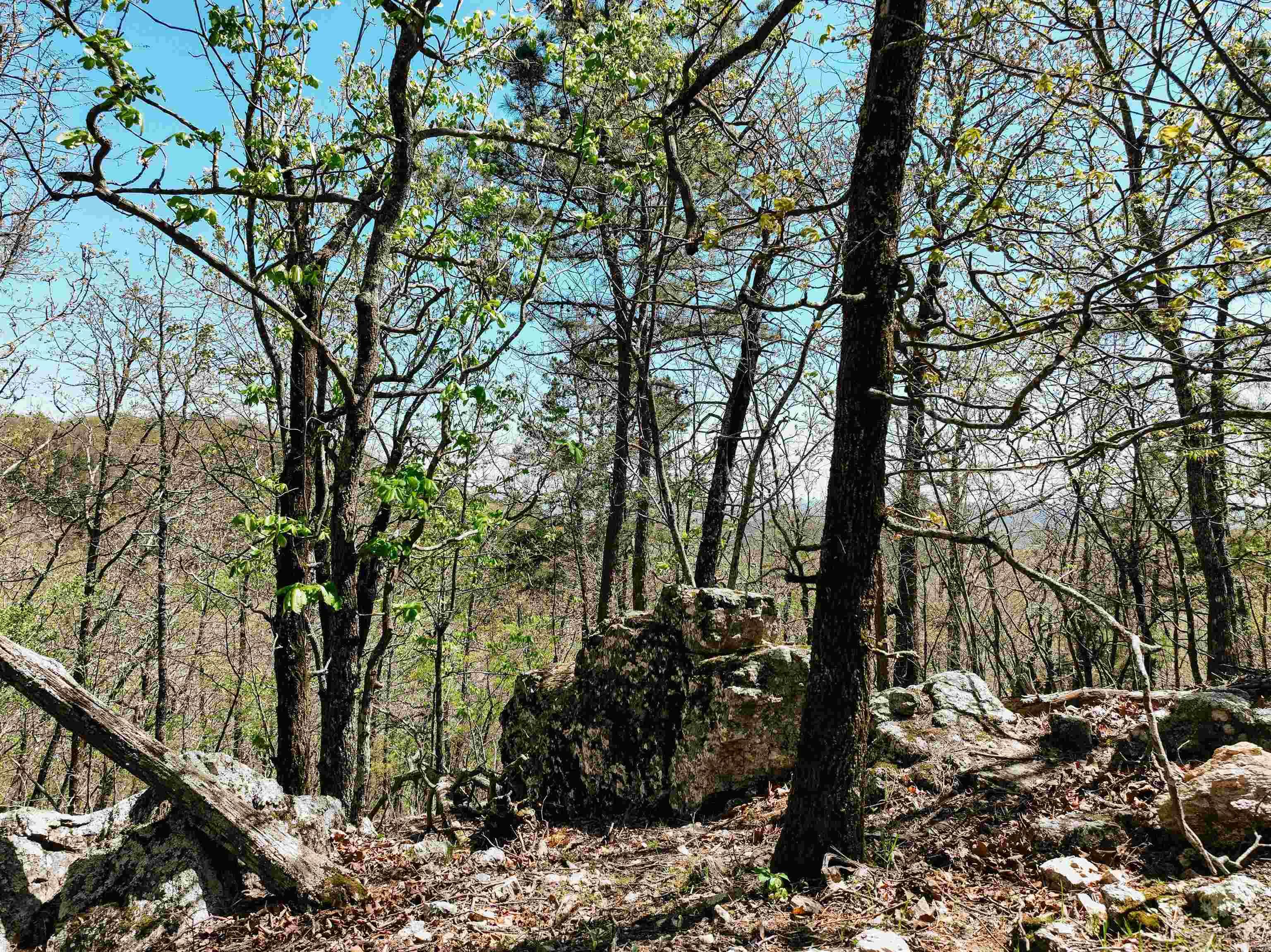 Cr185 Camilla Springs Property Photo 39