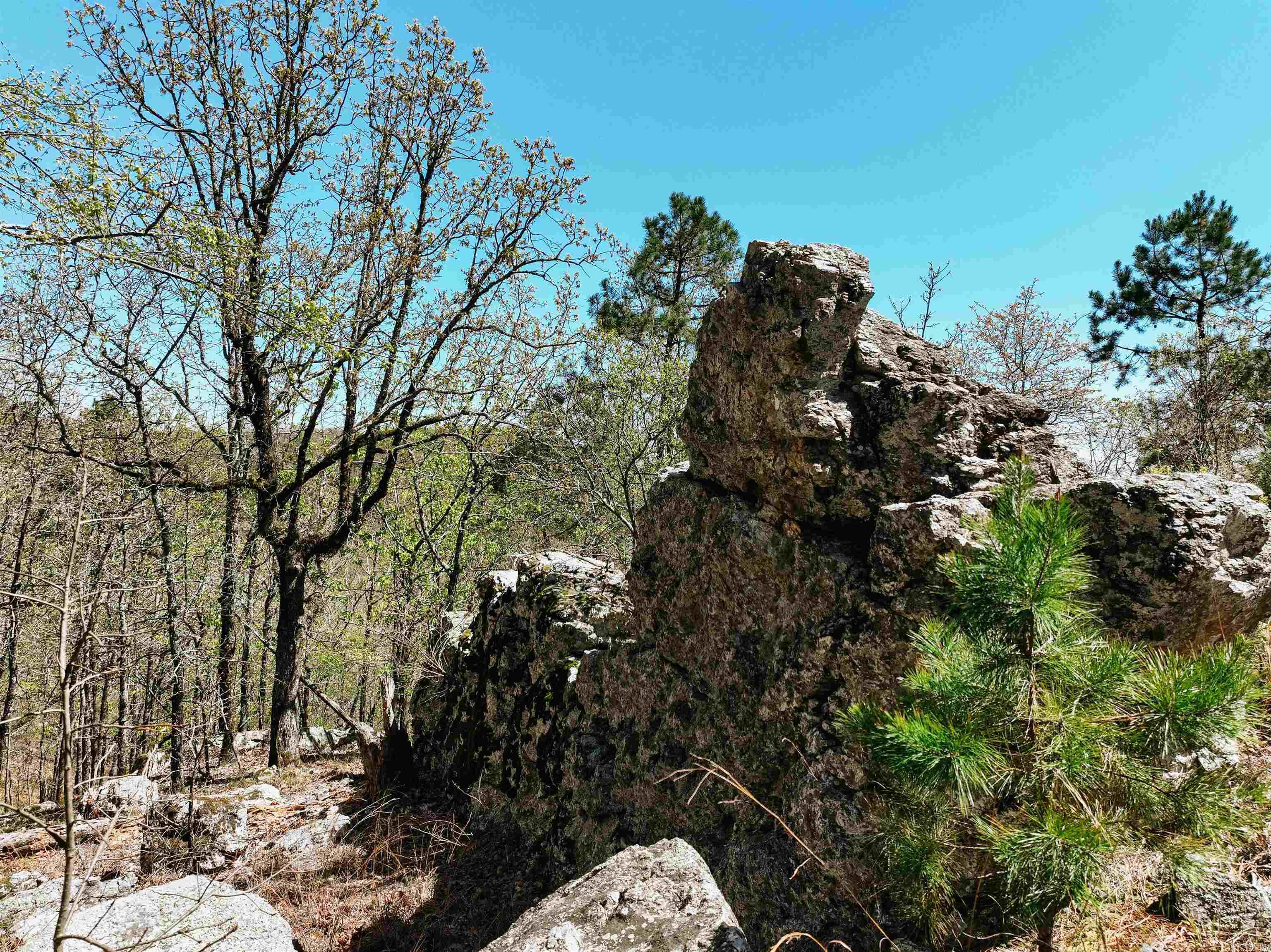 Cr185 Camilla Springs Property Photo 40