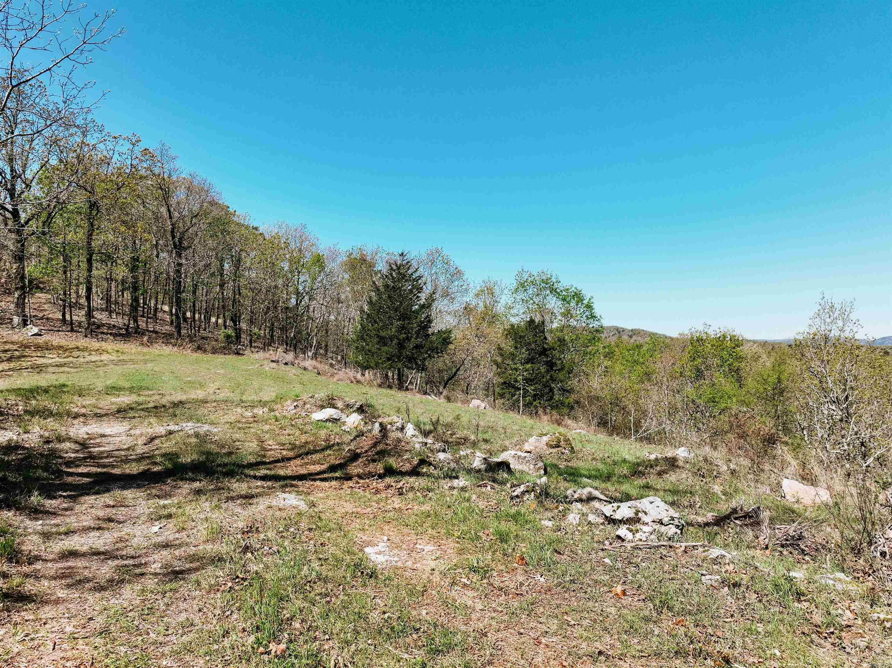 Cr185 Camilla Springs Property Photo 42