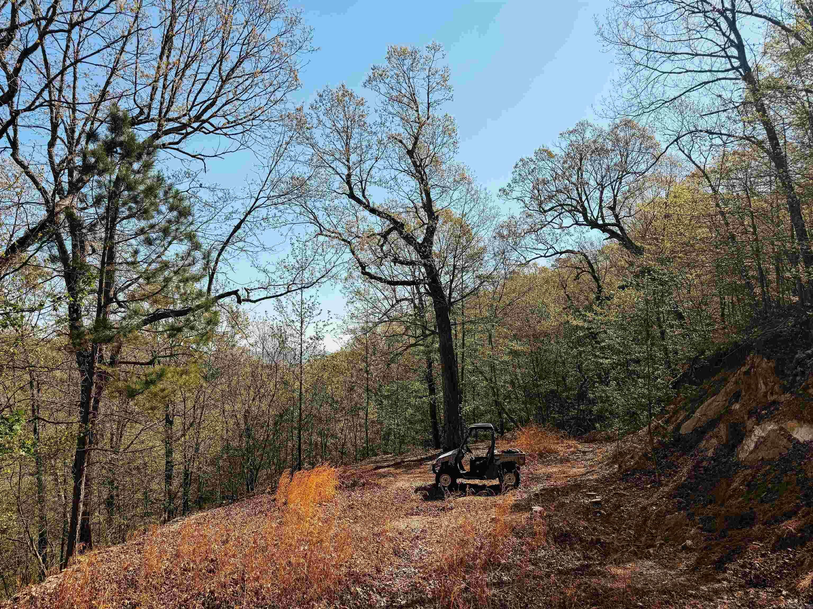 Cr185 Camilla Springs Property Photo 43