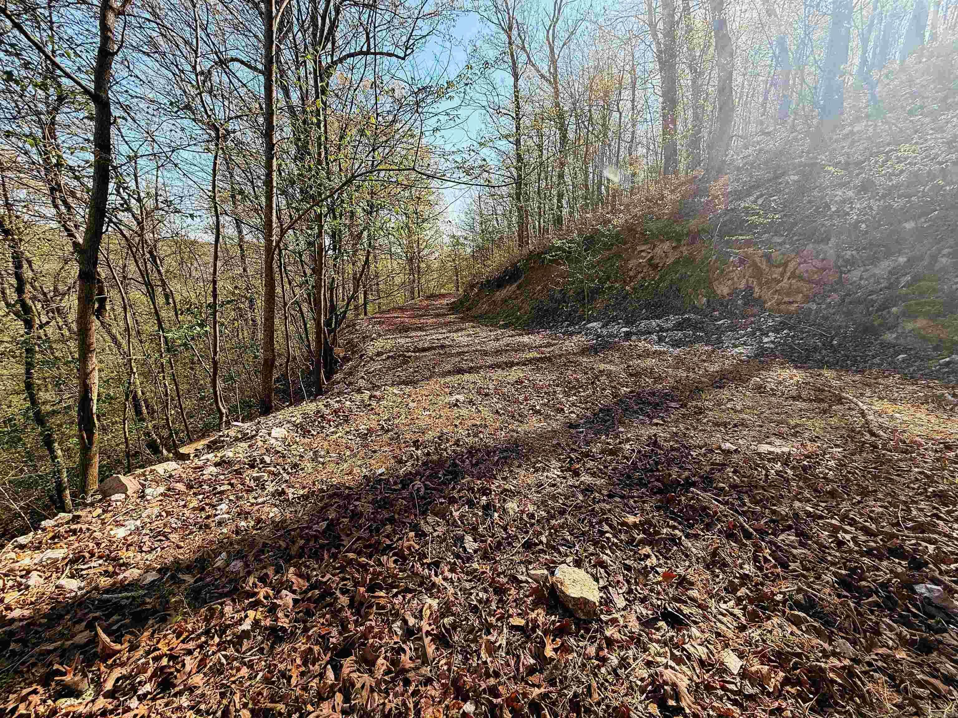 Cr185 Camilla Springs Property Photo 44