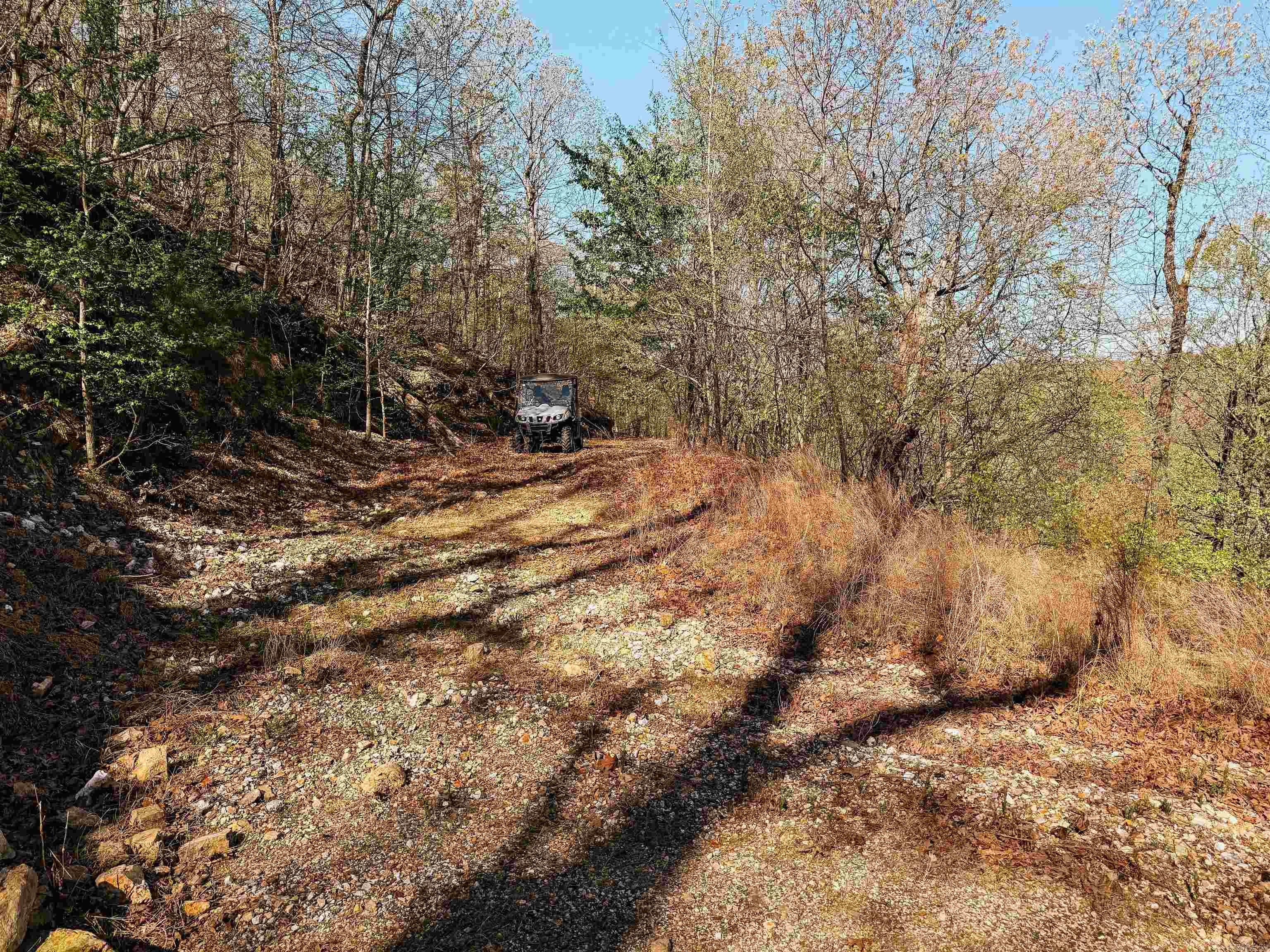 Cr185 Camilla Springs Property Photo 48