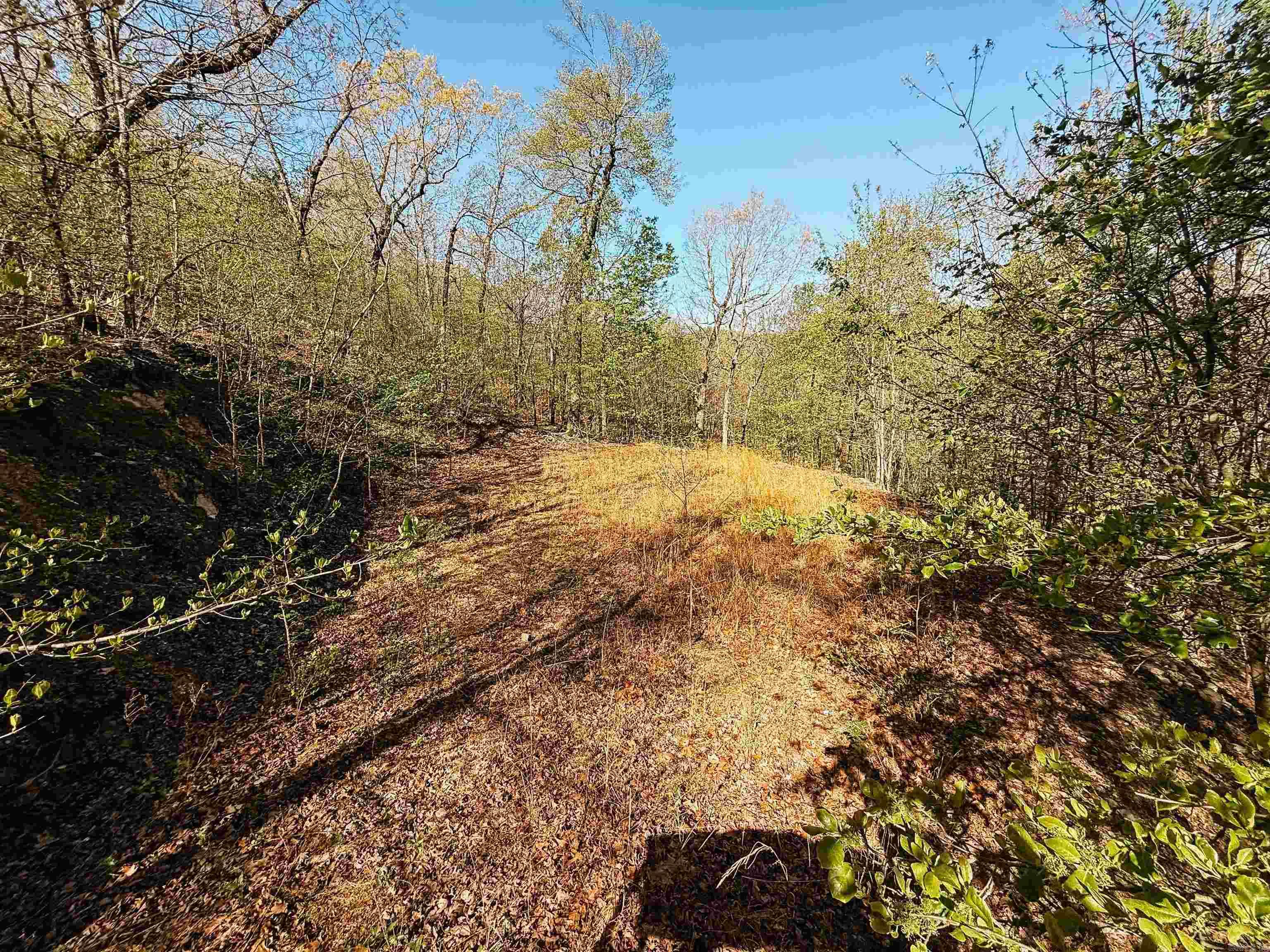 Cr185 Camilla Springs Property Photo 49