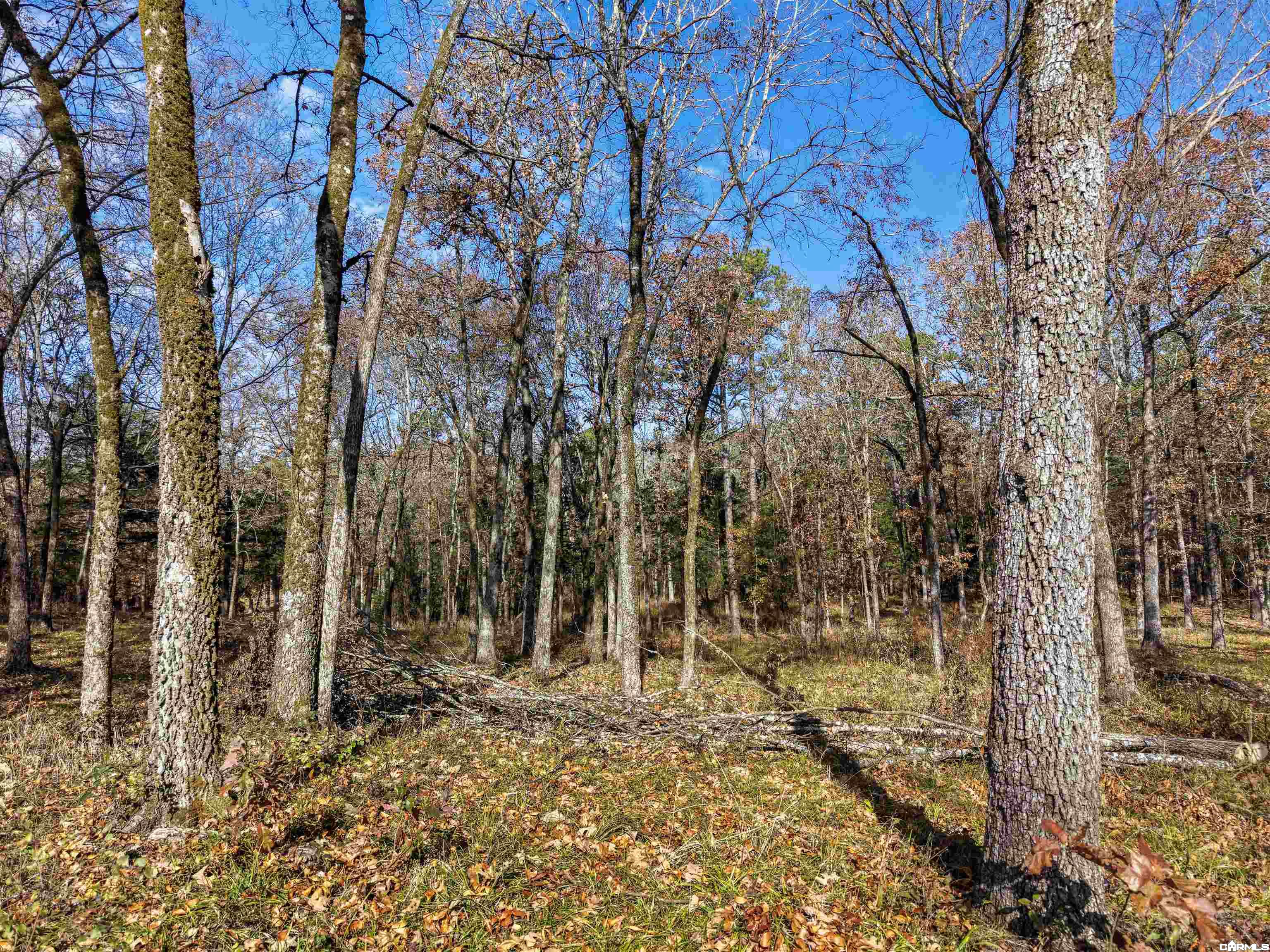 458 Union Hill Road Property Photo 1