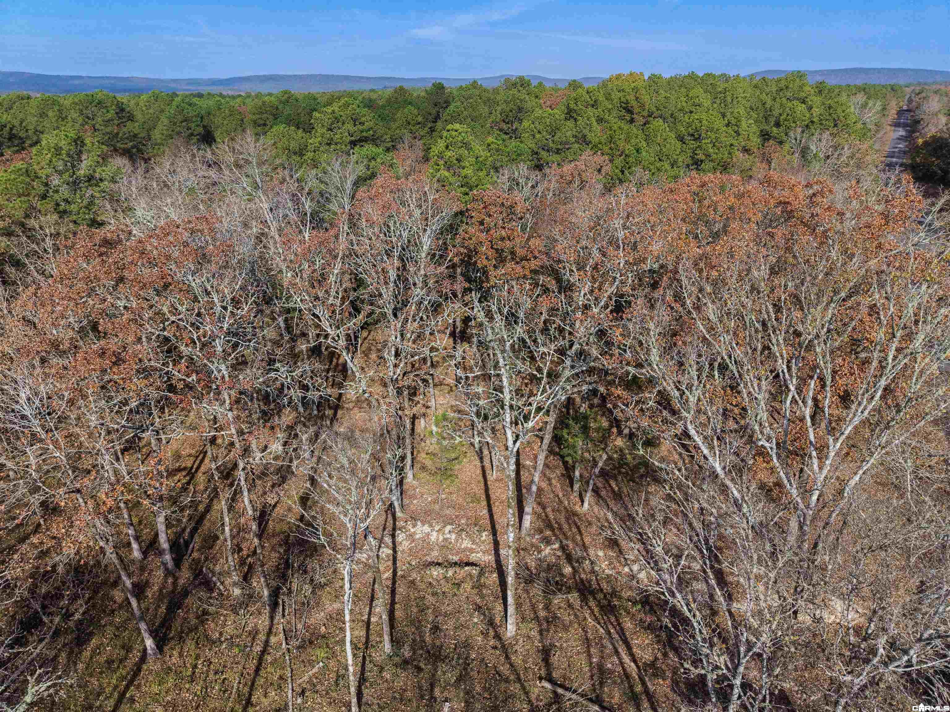 458 Union Hill Road Property Photo 4