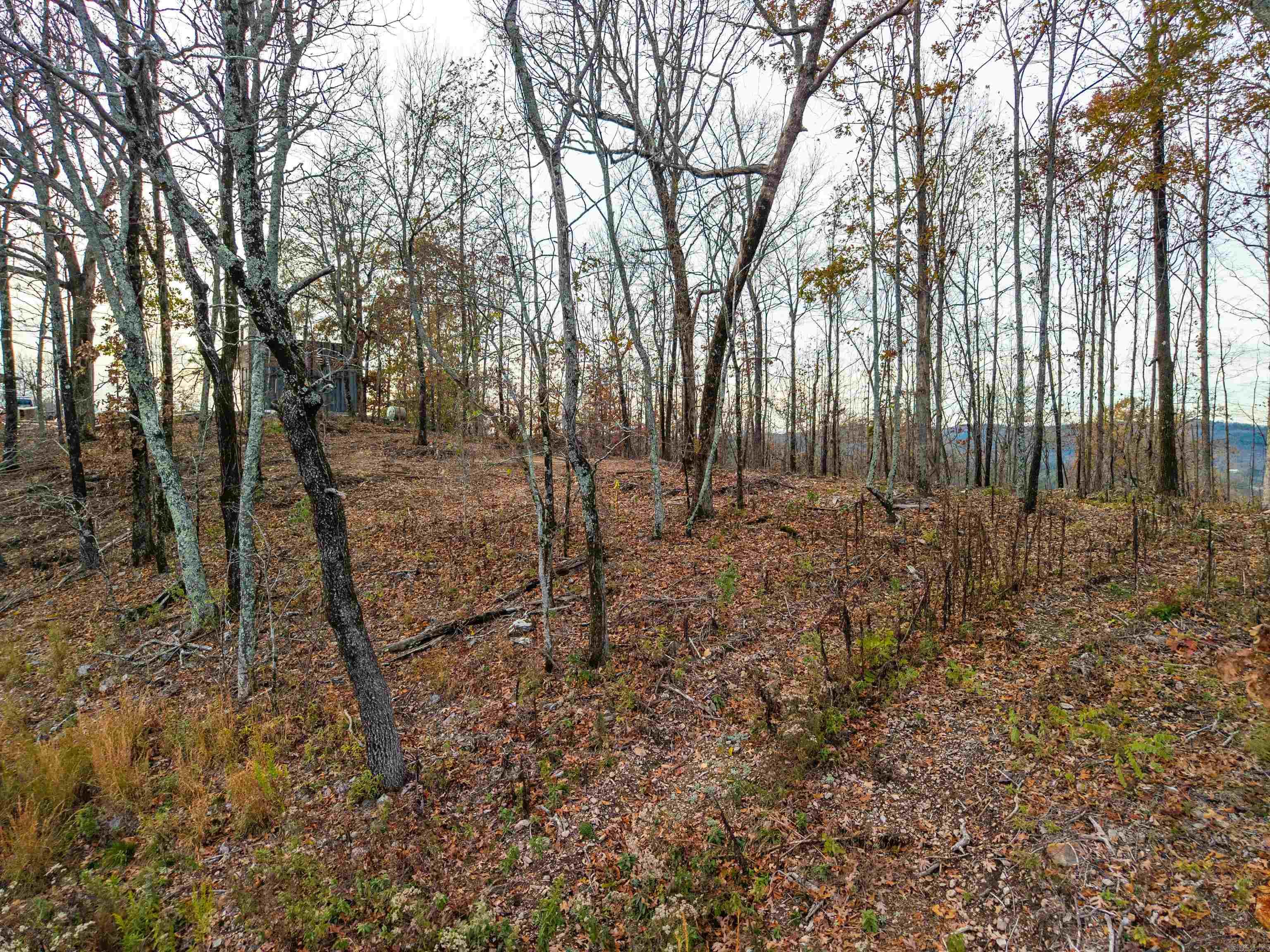 Lot 22 Most High Loop Property Photo 6