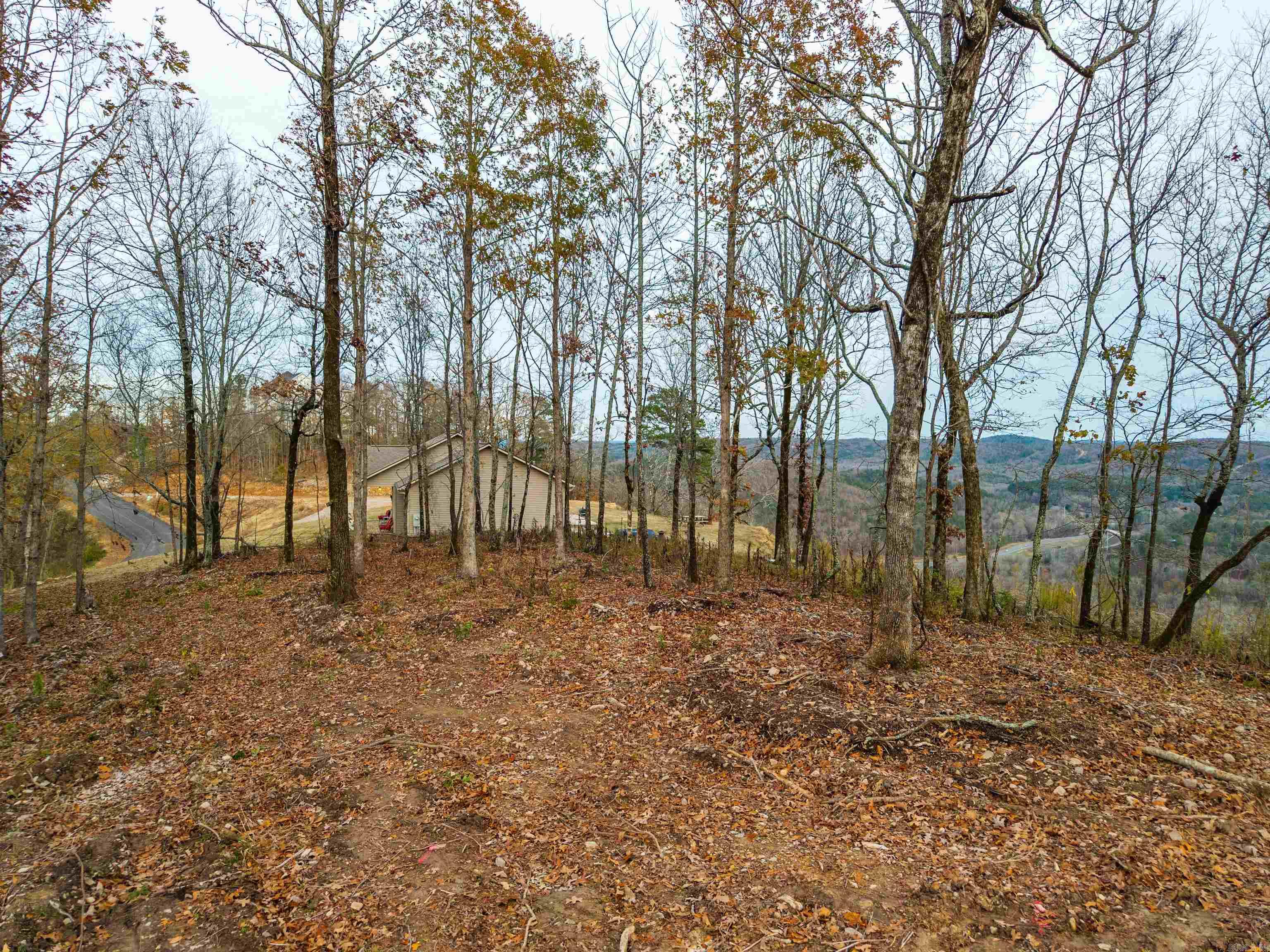 Lot 22 Most High Loop Property Photo 7