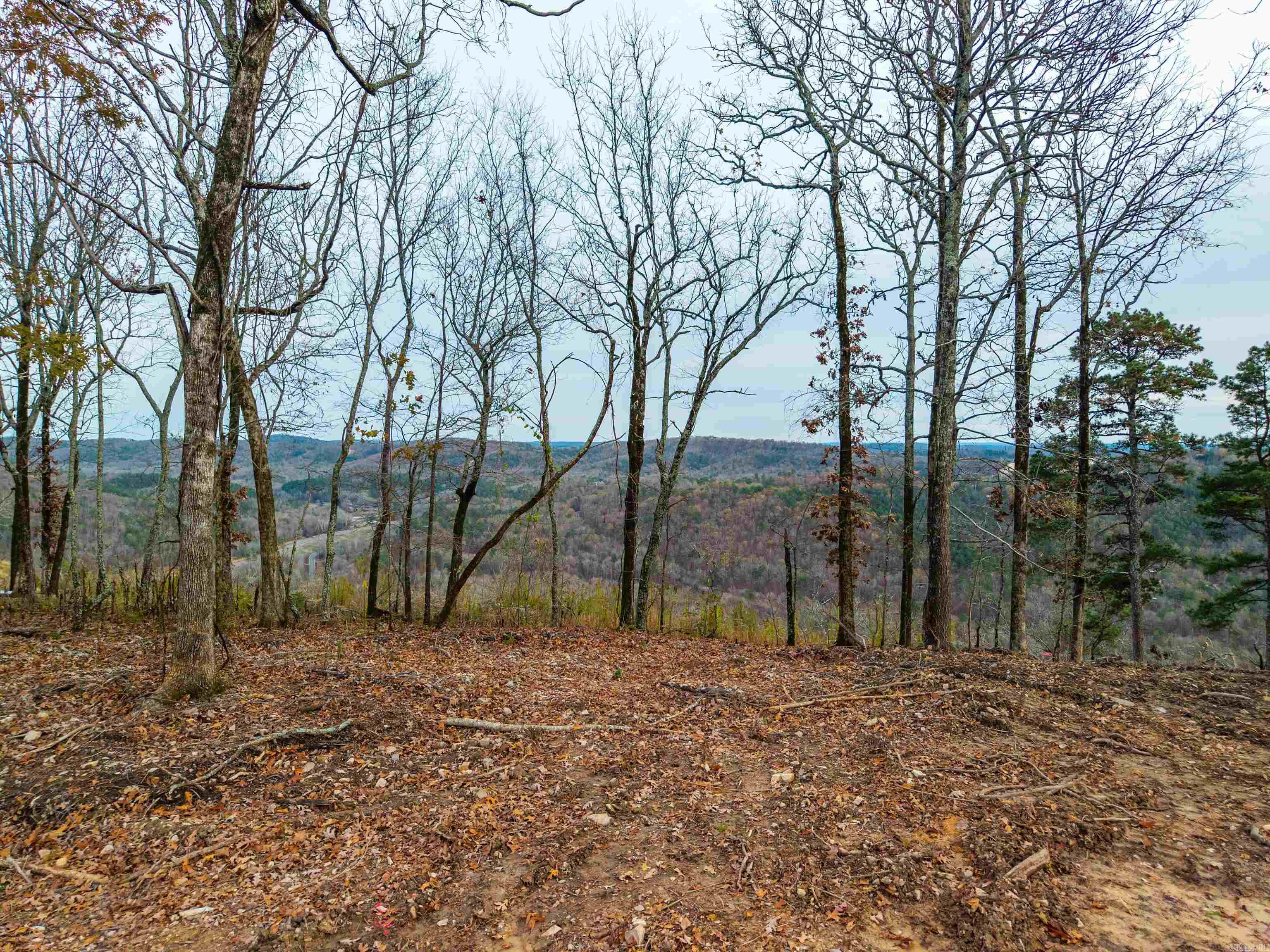 Lot 22 Most High Loop Property Photo 10