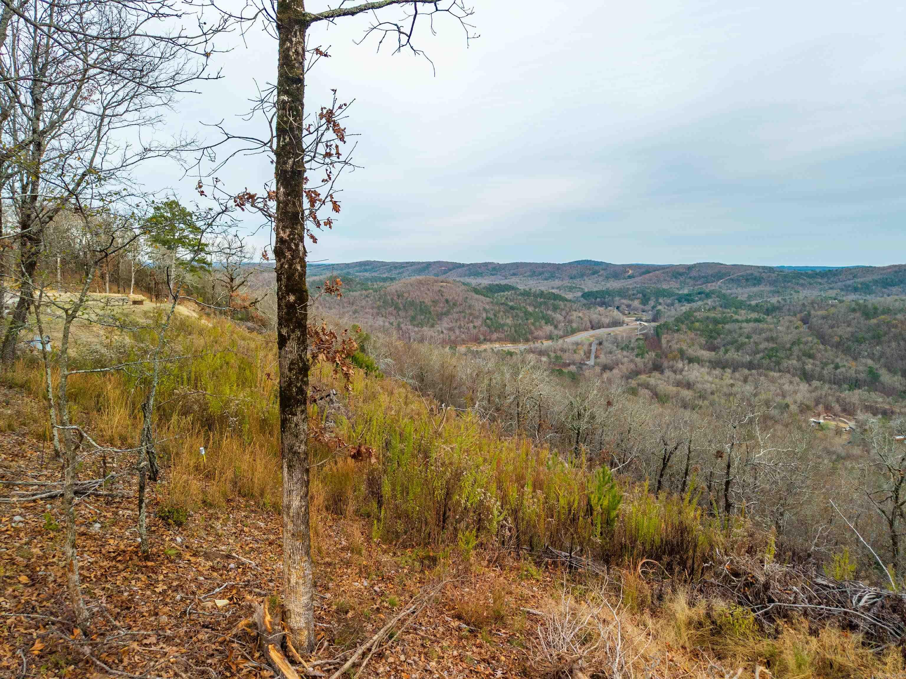 Lot 22 Most High Loop Property Photo 11