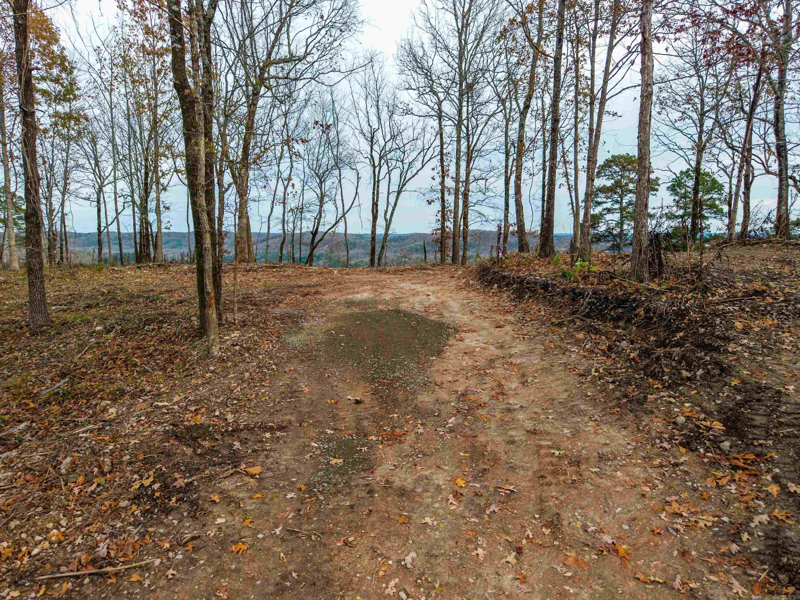 Lot 22 Most High Loop Property Photo 16