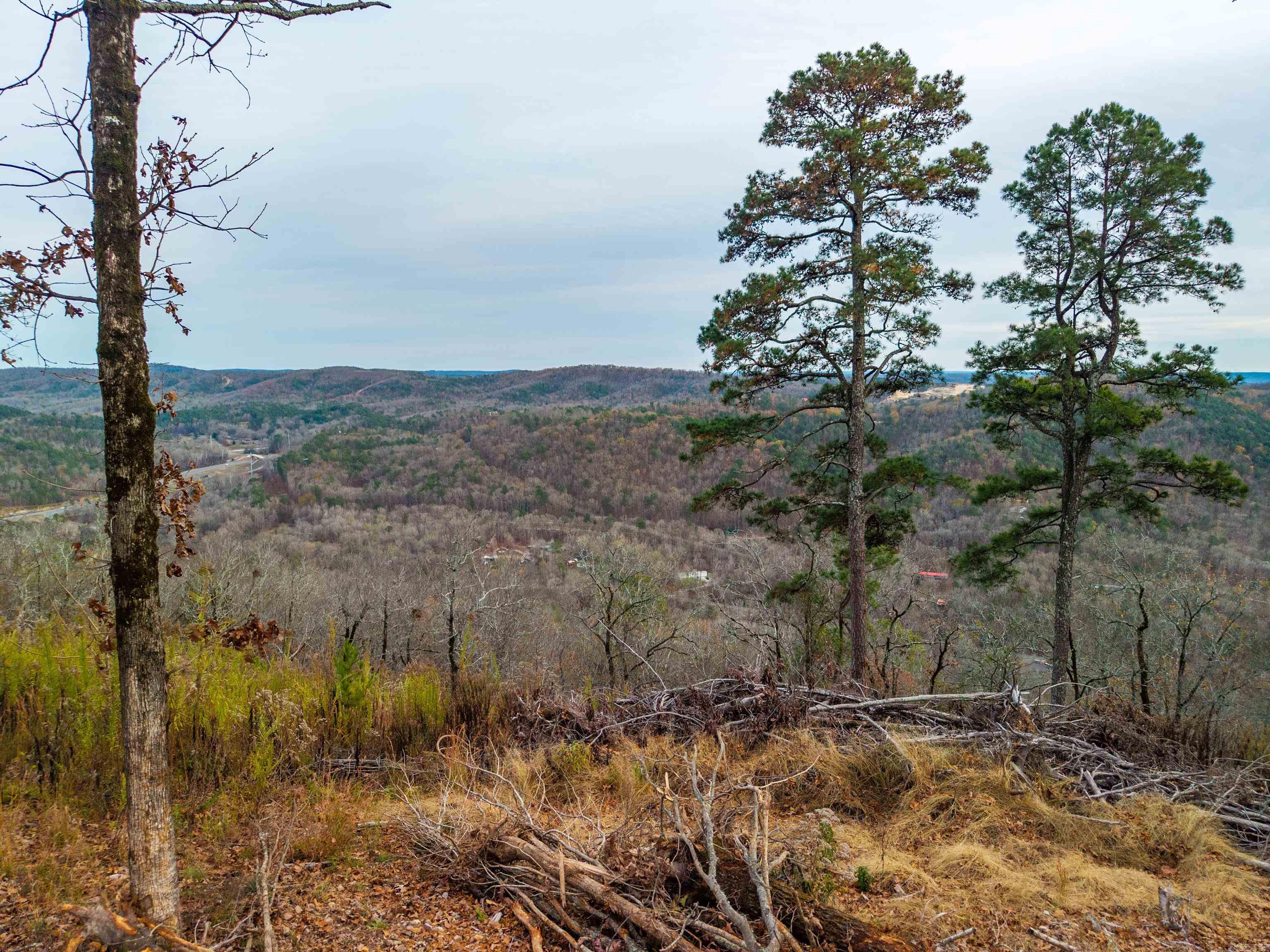 Lot 22 Most High Loop Property Photo 23