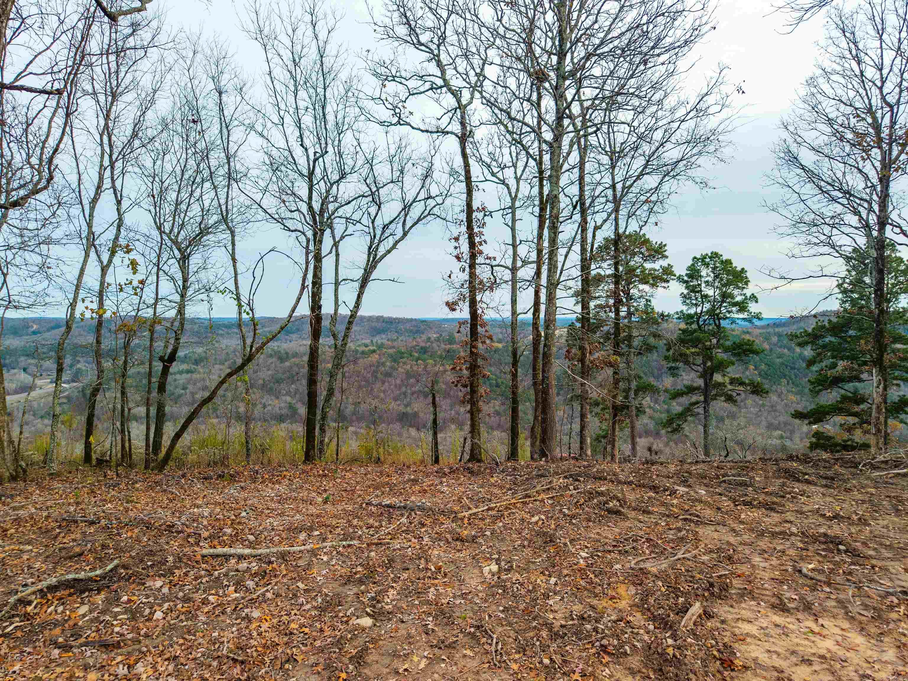 Lot 22 Most High Loop Property Photo 24