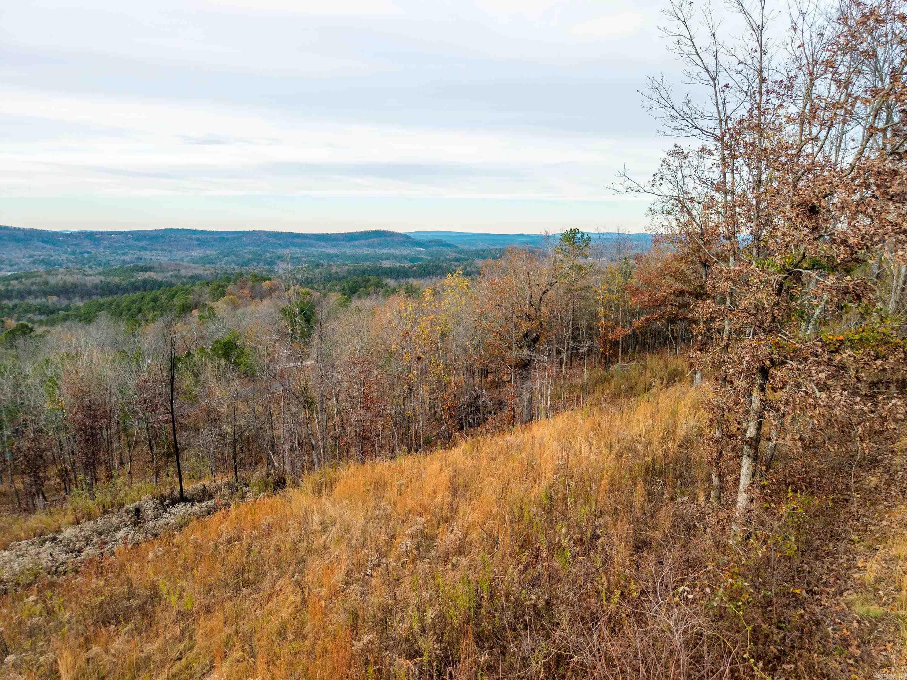 Lot 61 Most High Loop Property Photo 7