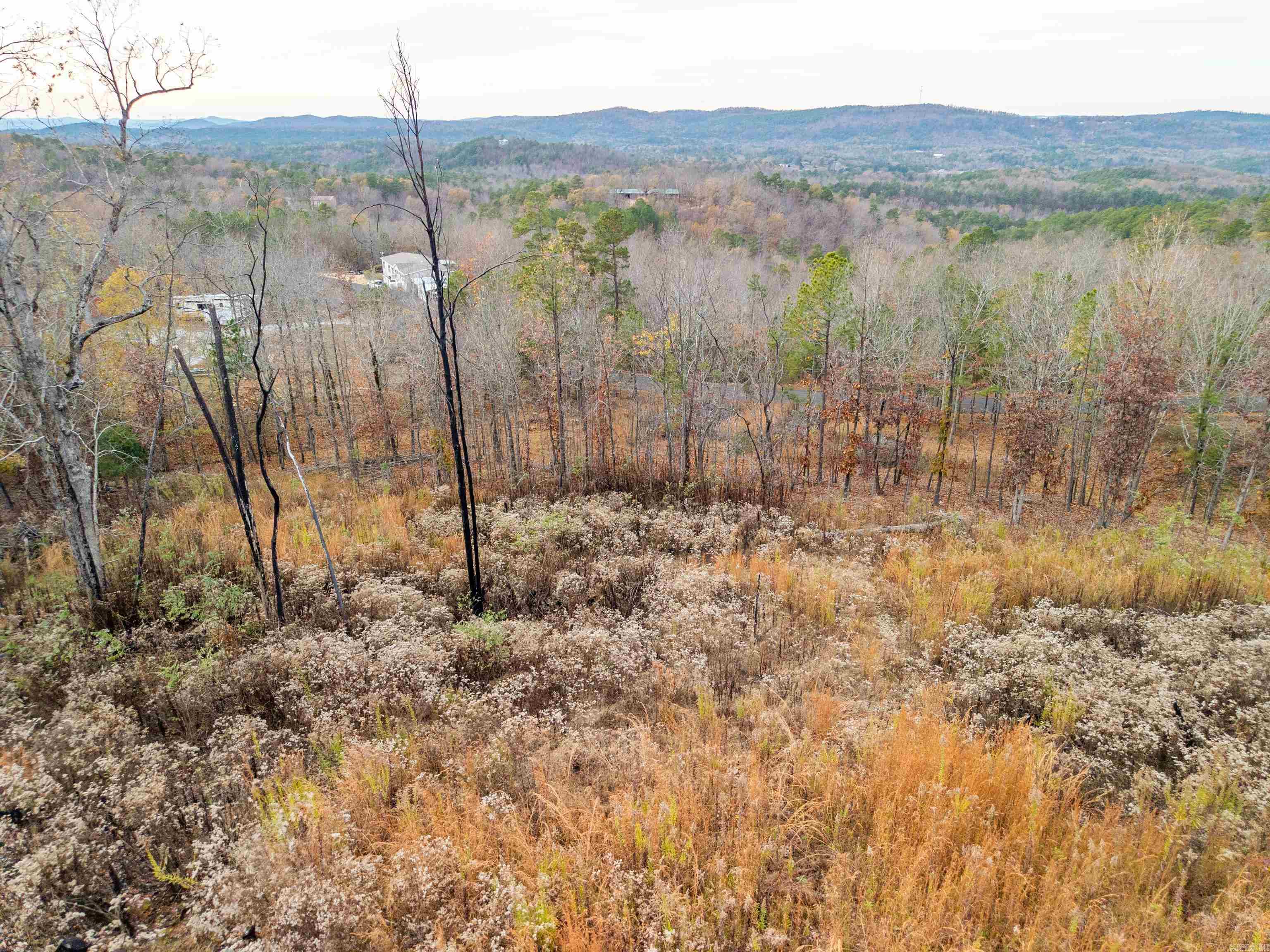 Lot 61 Most High Loop Property Photo 8