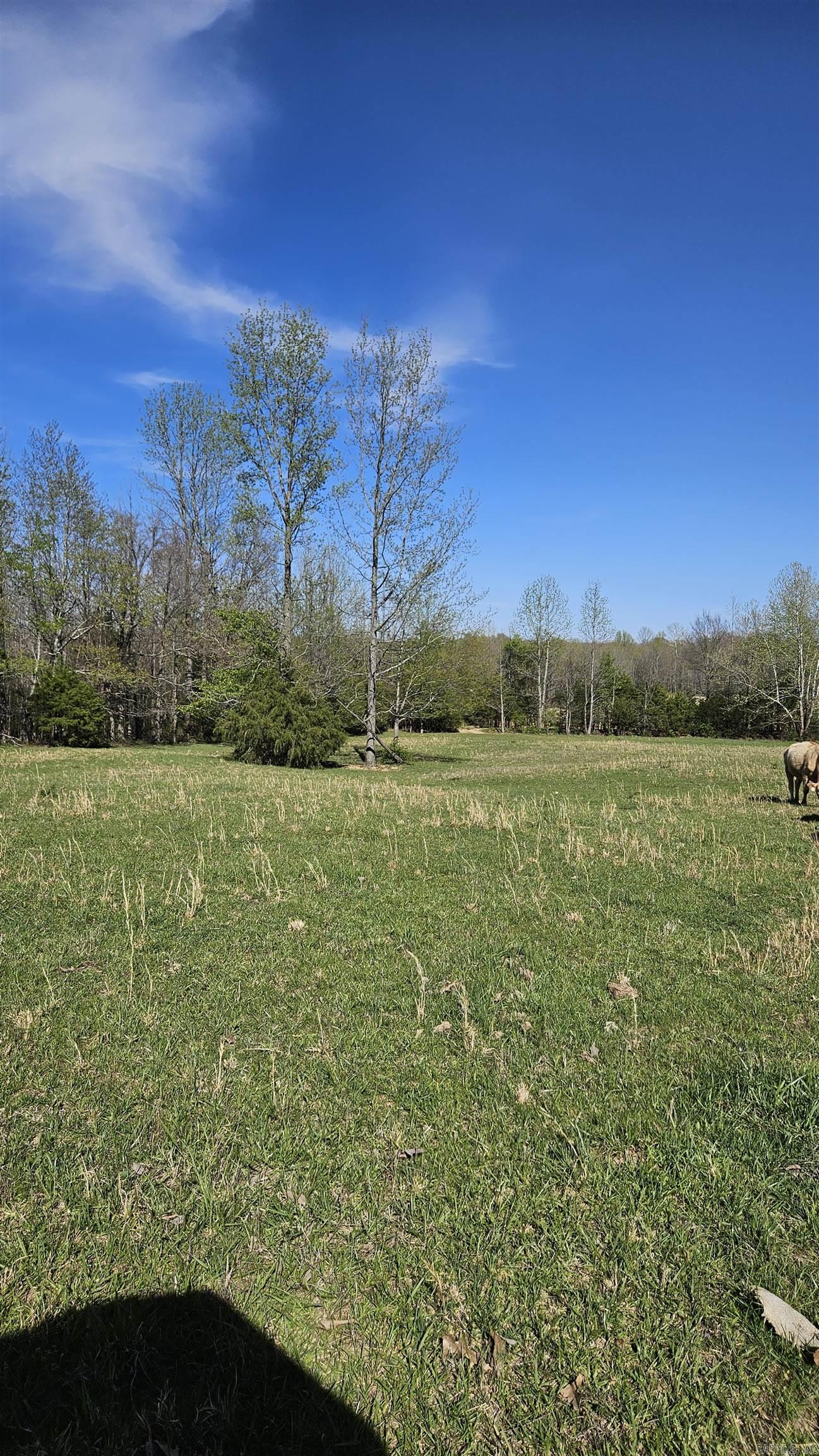1075 County Road 417 Property Photo 1